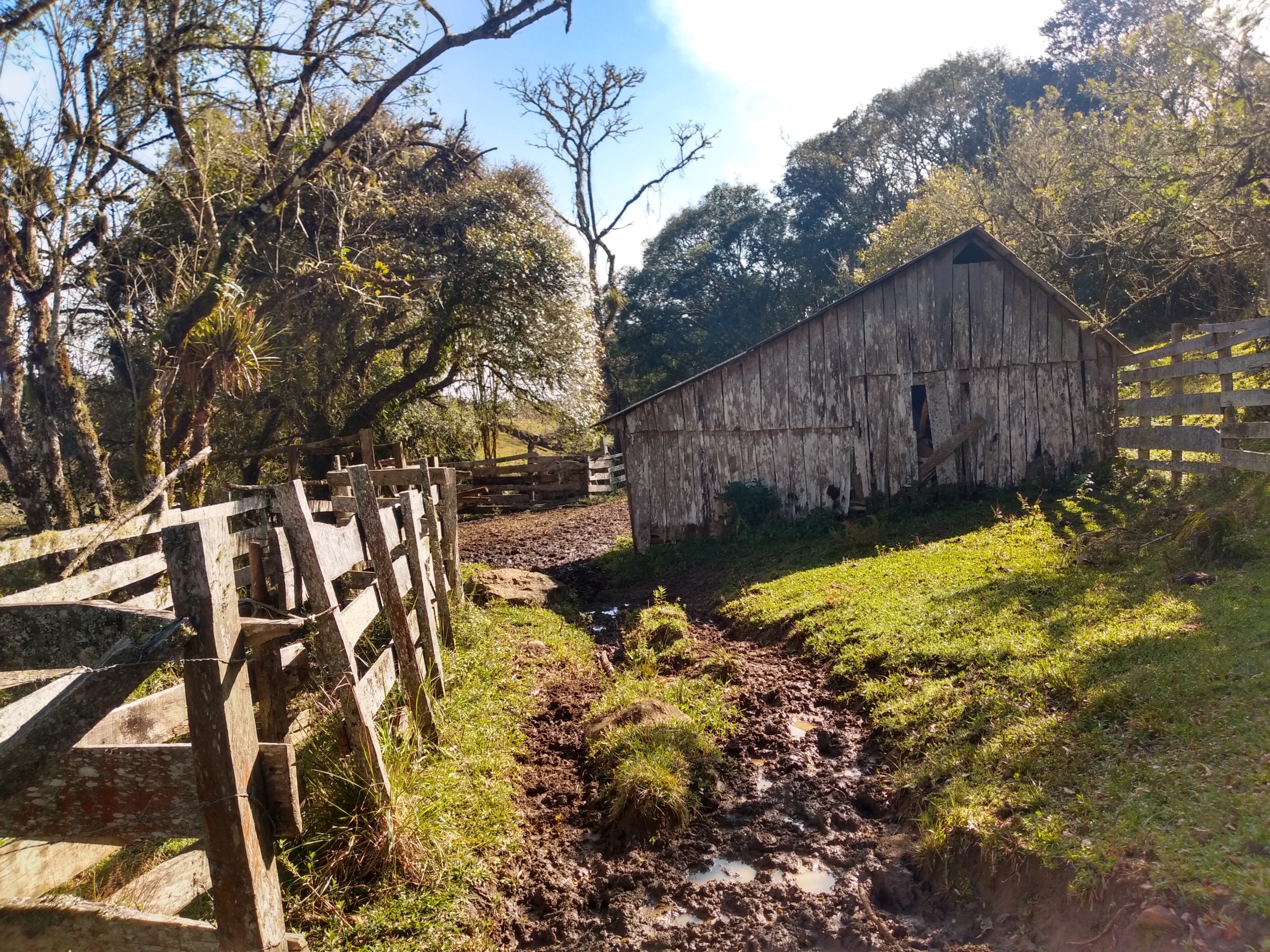 Terreno Rural em Bela Vista do Toldo em Bela Vista do Toldo Pedra Branca Sc