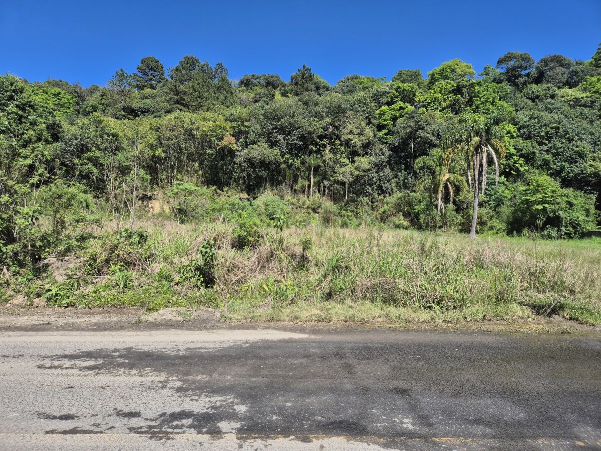 imóvel 2 Lotes a venda com 300 m2 cada - Alto da Tijuca