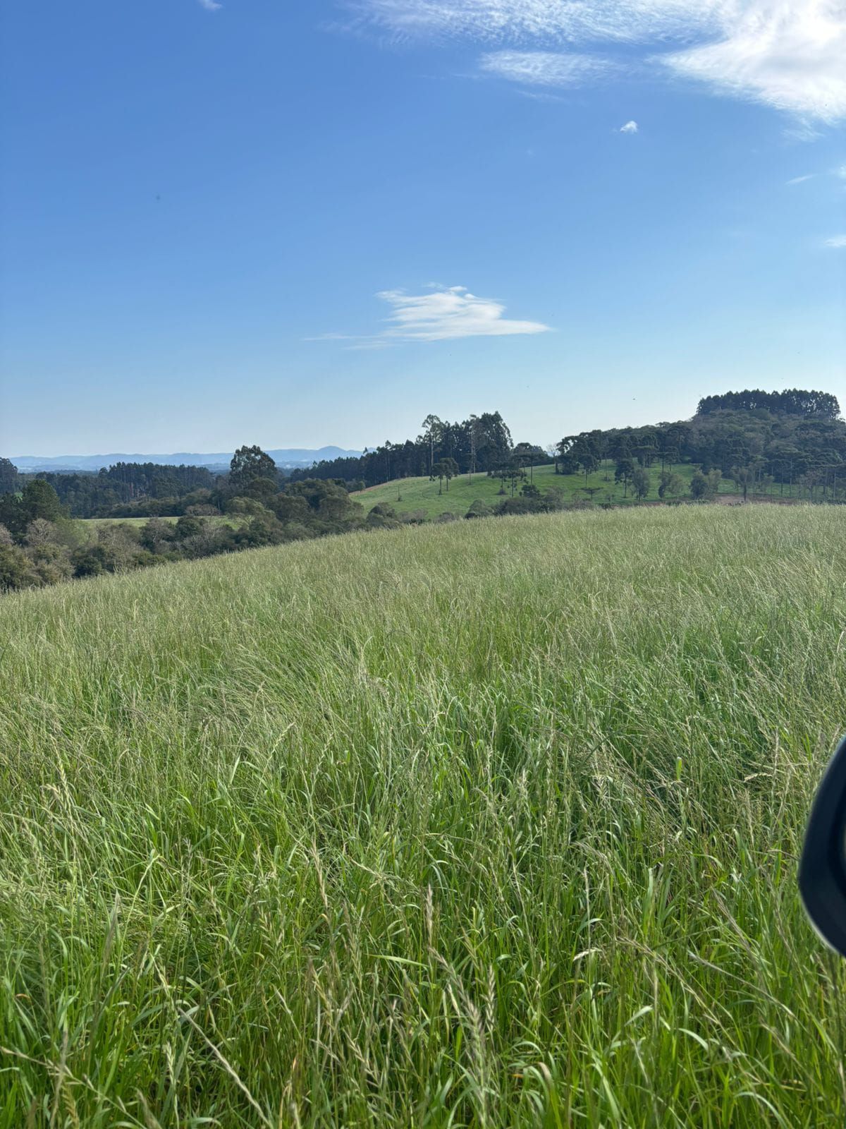 Imagem do Terreno Rural com 19.5 alqueires em Bela Vista do Toldo