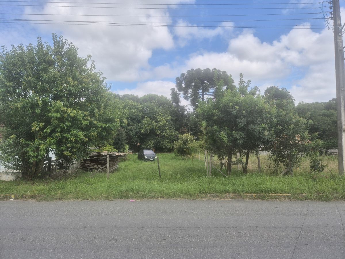 Imagem do A Venda - Lote com 512 m2 (13.5 Frente X 43,8 Fundos) frente asfaltada -Bairro  Piedade