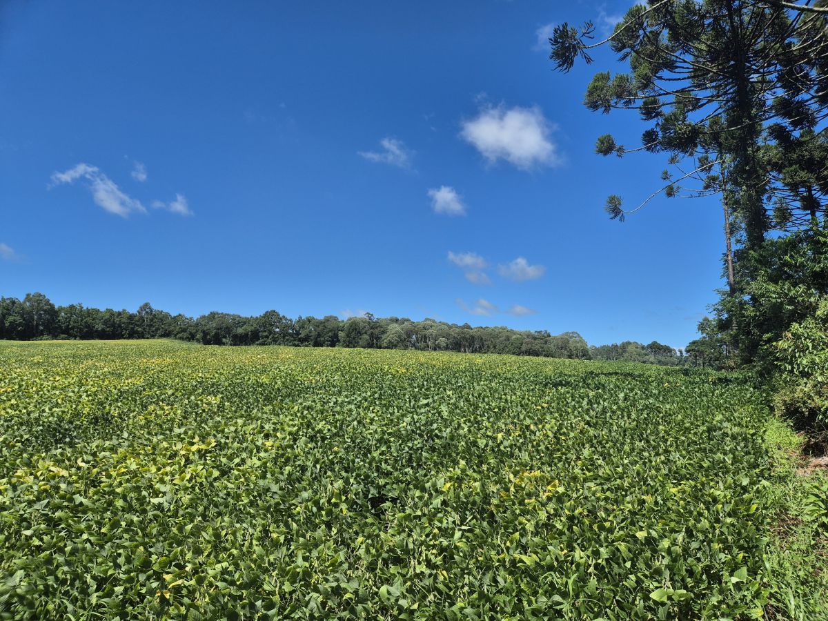 Imagem do Terreno Rural com 354.301,00 m2 - Rio da Veada Canoinhas