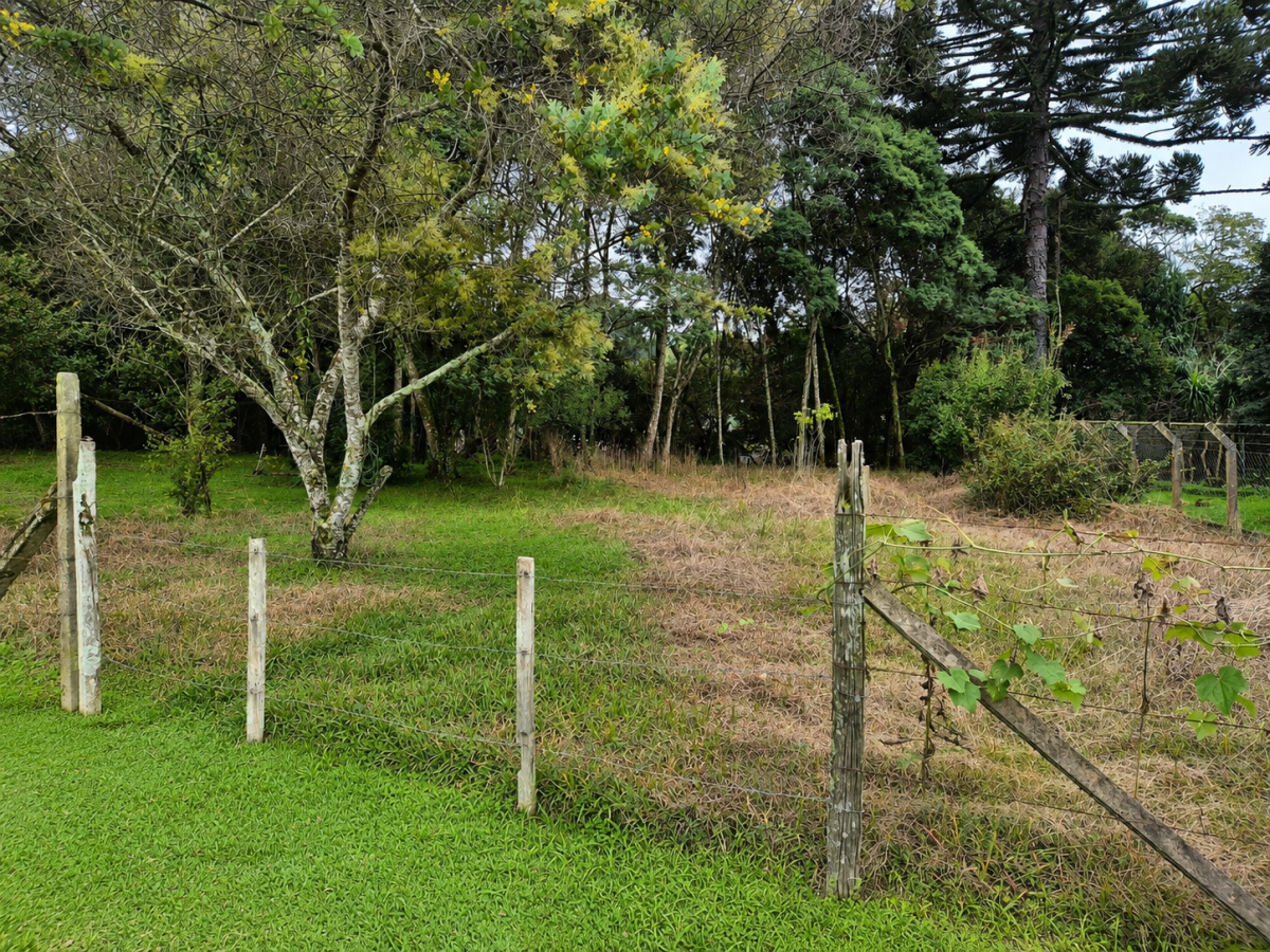 Imagem do A VENDA EM MARCILIO DIAS - lote com 796,30 m2 (20 x 41 m)  Excelente localização
