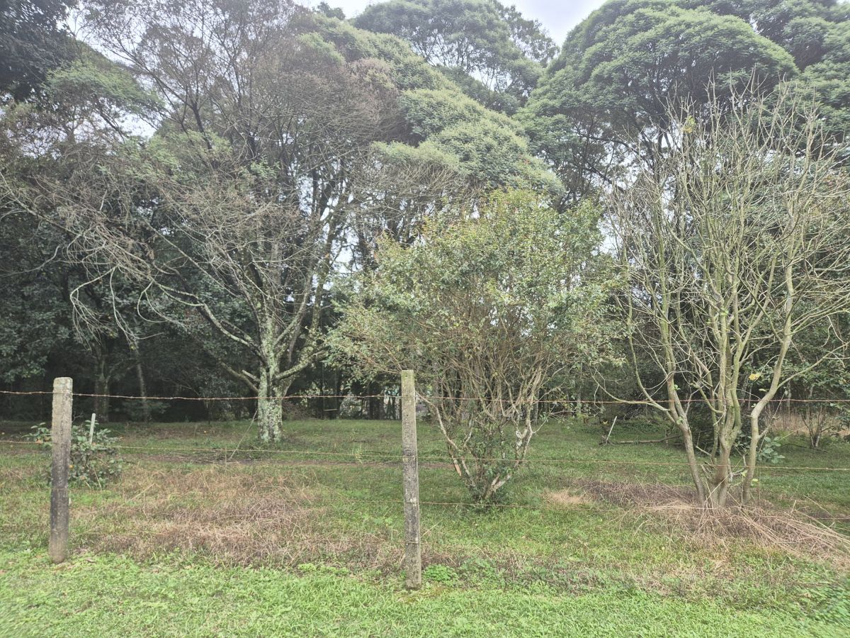 Imagem do A VENDA EM MARCILIO DIAS - lote com 712,10 m2 (20 x 333,5 m)  Excelente localização