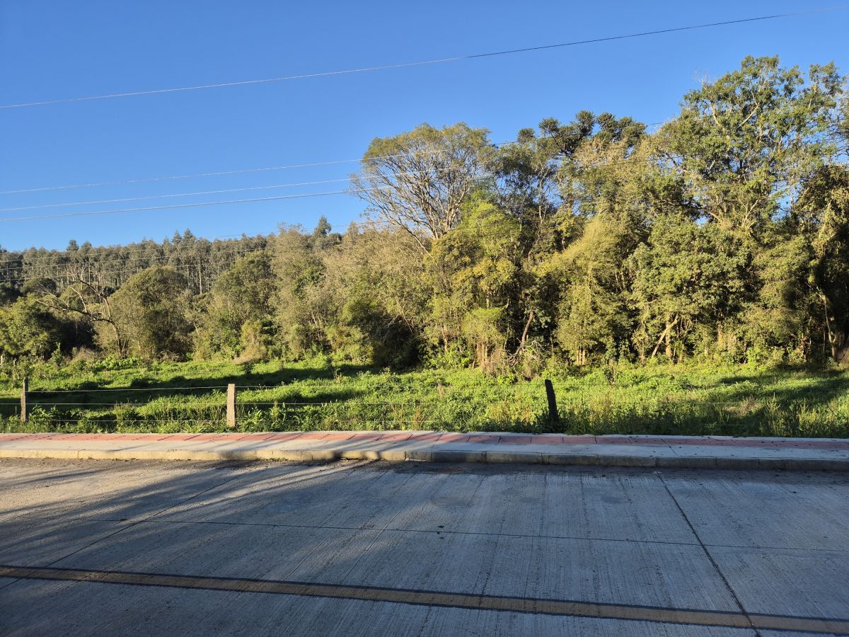 Imagem do Terreno Rural com 10.000 m2 - Sao João dos Cavalheiros