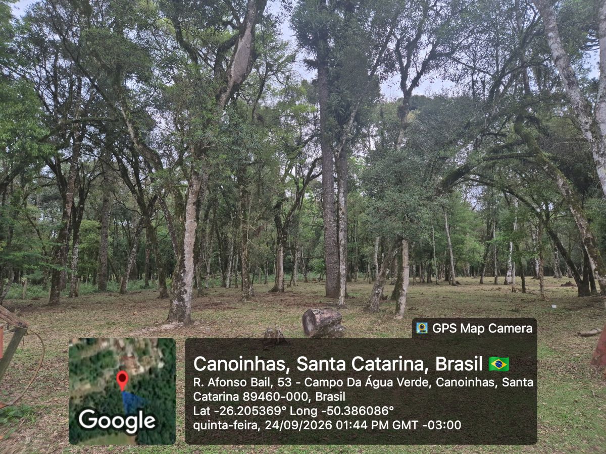 Imagem do A VENDA - Sítio com àrea de 33.423,43 m2 - Bairro Água Verde - Cercado e com água
