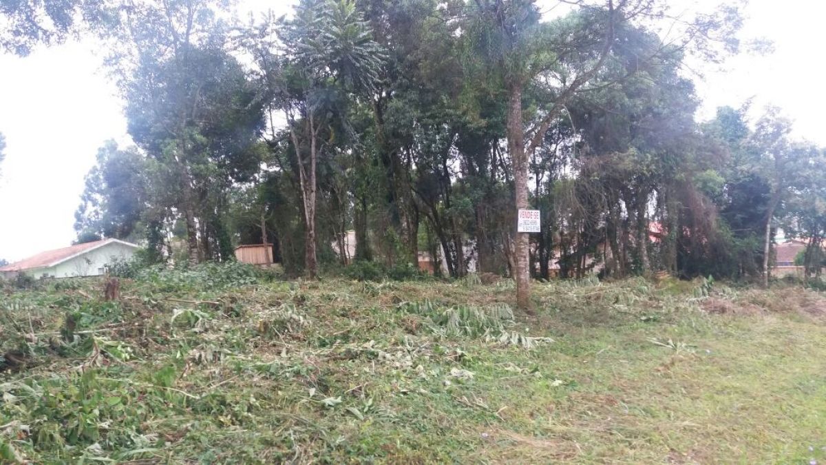 imóvel Lotes com 426 m2 - Rua Alfredo Bach - Sossego