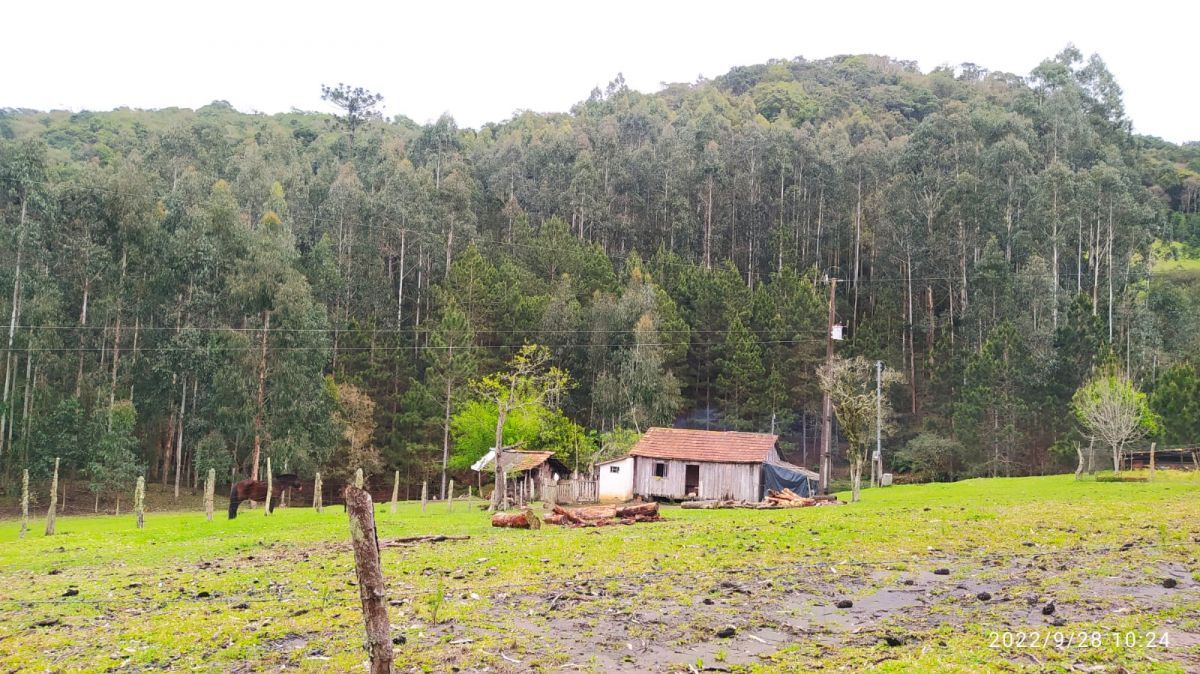 imóvel Terreno Rural com 17 alqueires - Local denominado Pinheiros - Canoinhas
