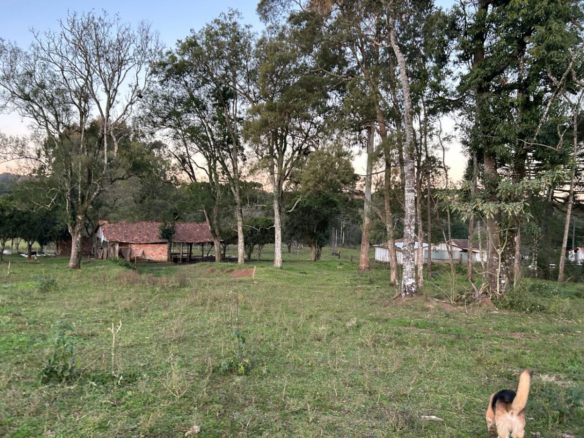 imóvel Terreno Rural em Paula Pereira, Canoinhas - SC