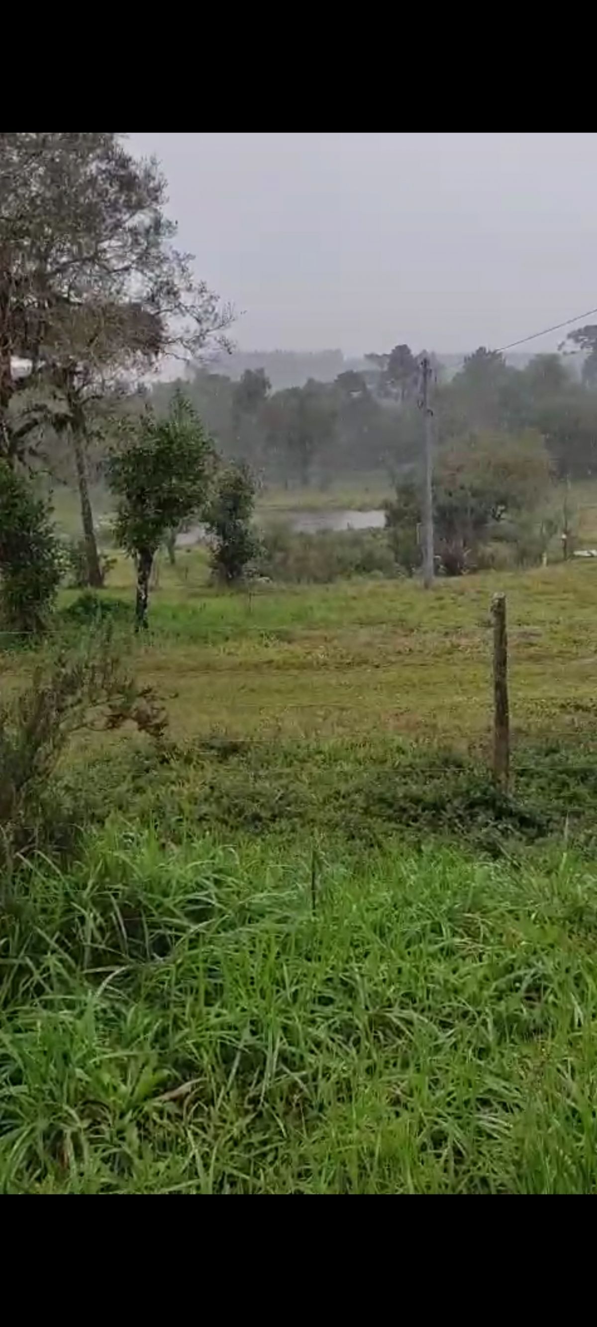 Imagem do Chácara com 18.000 m2 na Encruzilhada 5 km do centro