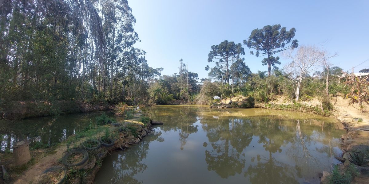 imóvel Terreno Rural com 3.000 m2 com 2 tanques 500 pés de erva mate - Bairro Alto Piedade Canoinhas SC