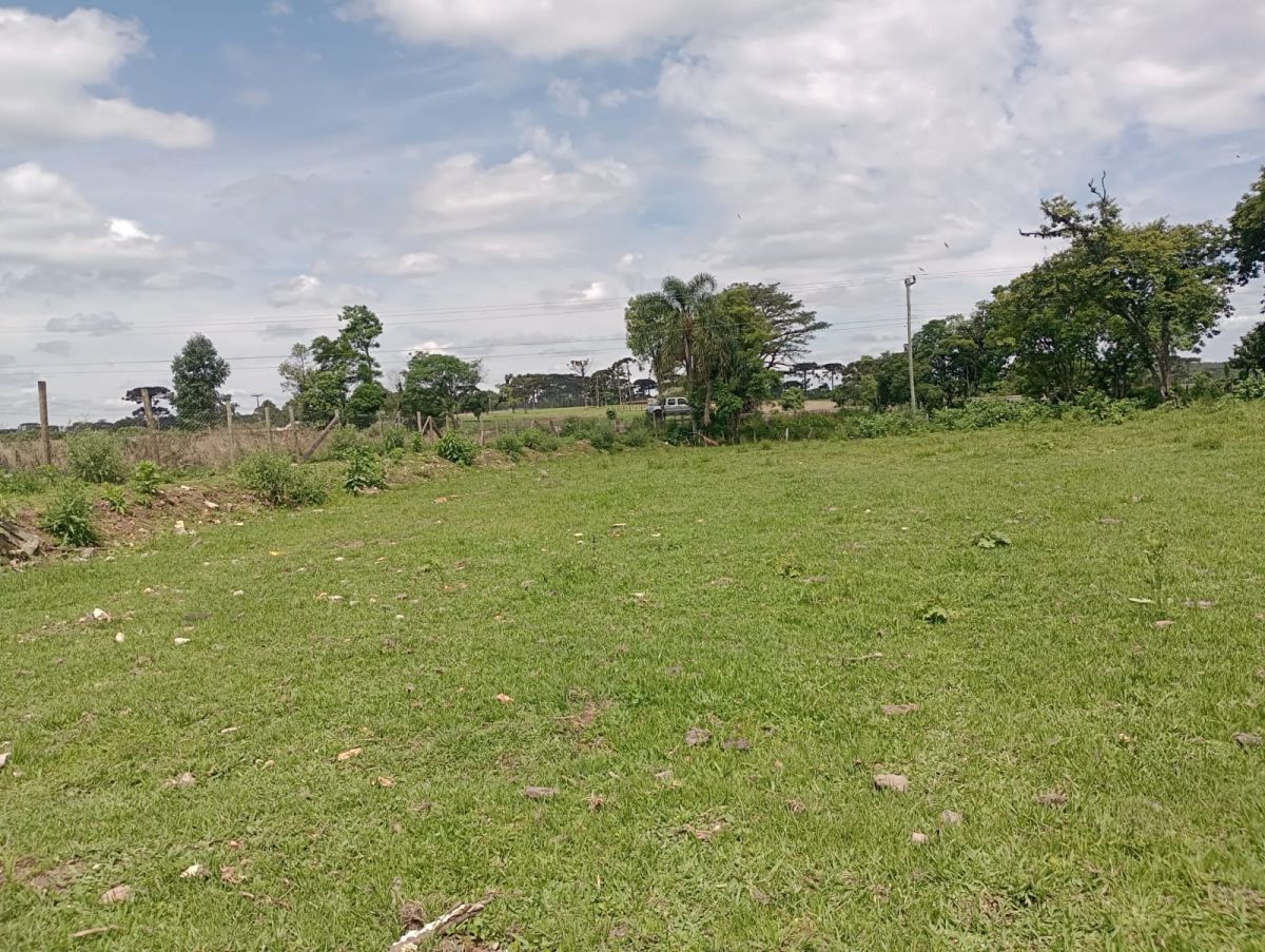 imóvel Terreno Rural frente para SC 477 com 3.464 m2 - Salseiro