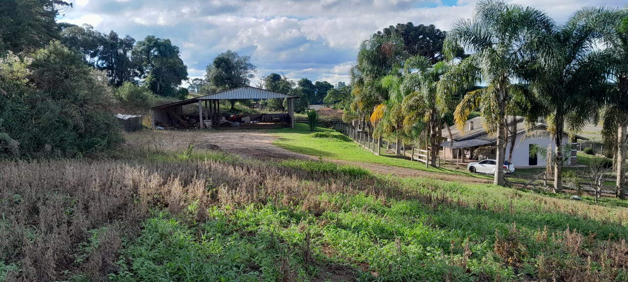 Imagem do A VENDA -Sitio com 22.000 m2 com casa de Alvenaria ~ Localidade de Taunay a 12 km da cidade de Canoinhas