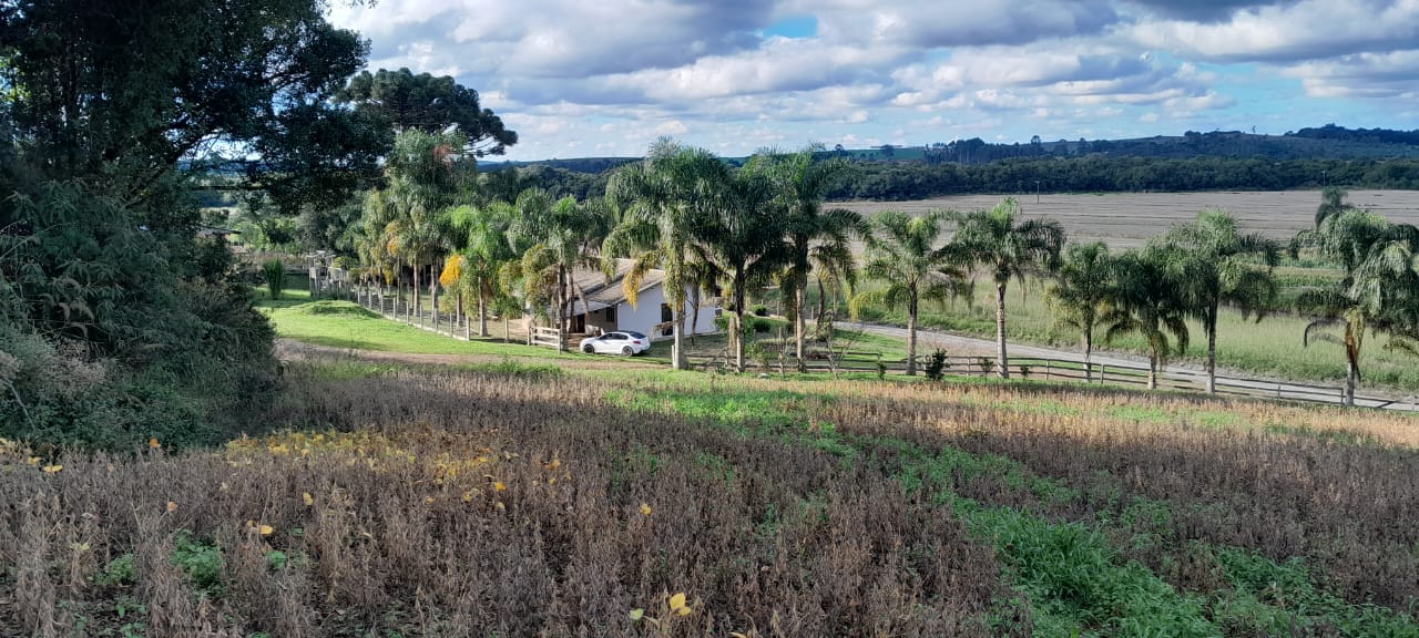 Imagem do A VENDA -Sitio com 22.000 m2 com casa de Alvenaria ~ Localidade de Taunay a 12 km da cidade de Canoinhas