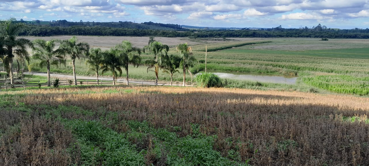 Imagem do A VENDA -Sitio com 22.000 m2 com casa de Alvenaria ~ Localidade de Taunay a 12 km da cidade de Canoinhas