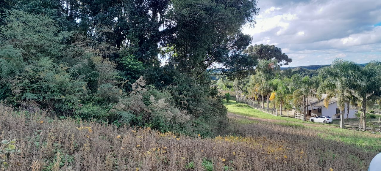 Imagem do A VENDA -Sitio com 22.000 m2 com casa de Alvenaria ~ Localidade de Taunay a 12 km da cidade de Canoinhas