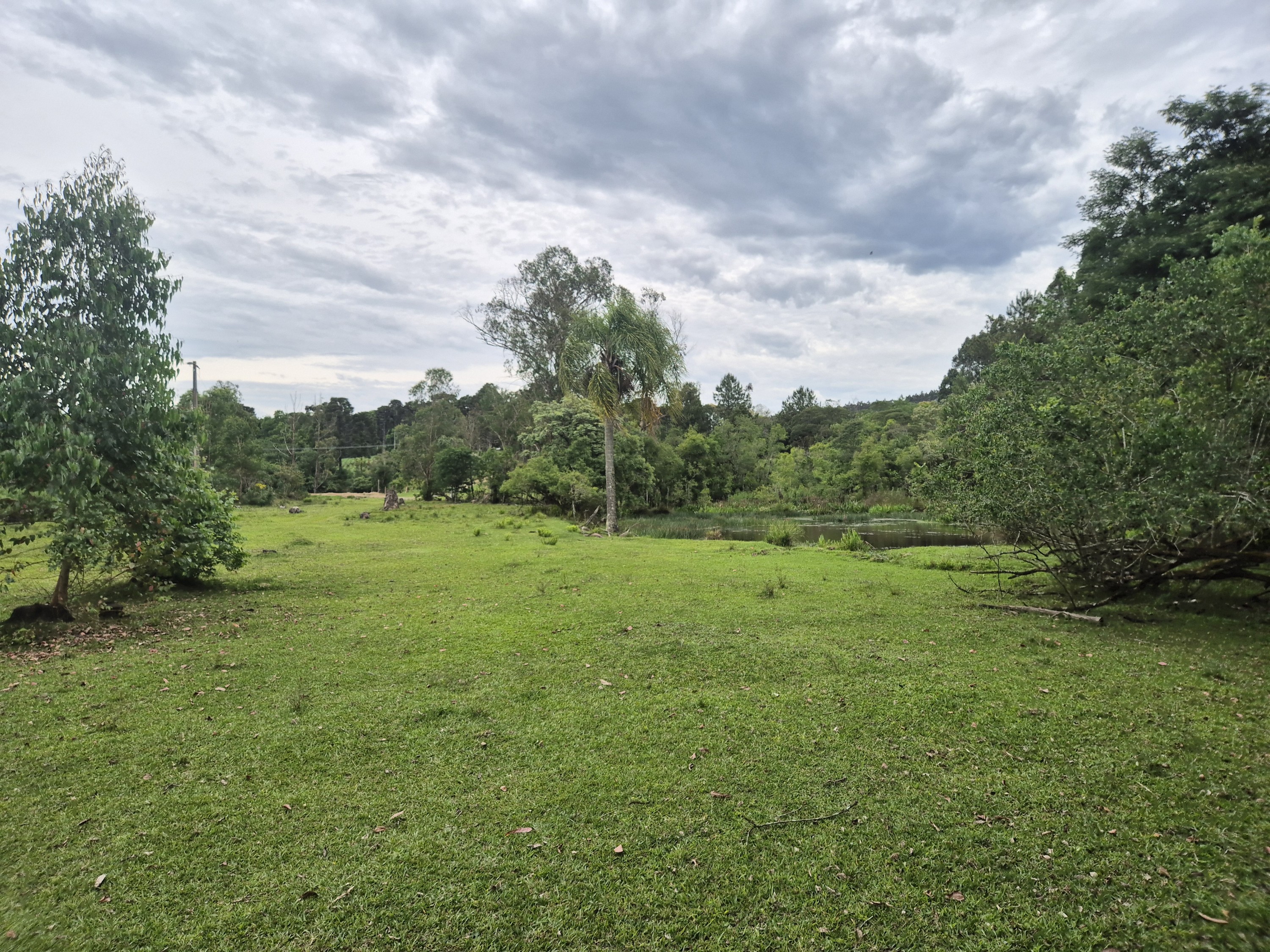Imagem do A VENDA -Terreno Rural com 1 alqueire sendo 50% terra de planta e 50% Caíva