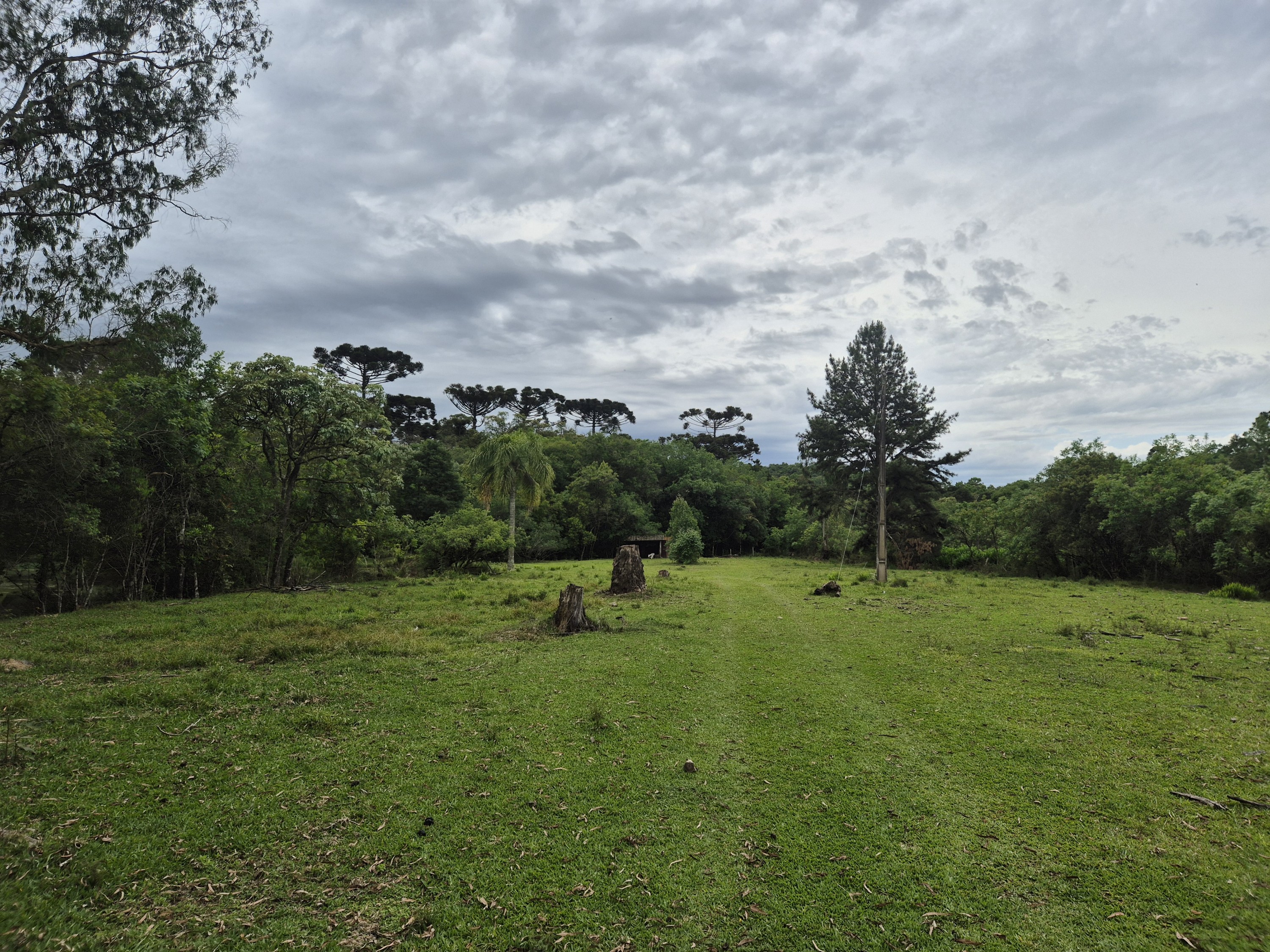 Imagem do A VENDA -Terreno Rural com 1 alqueire sendo 50% terra de planta e 50% Caíva