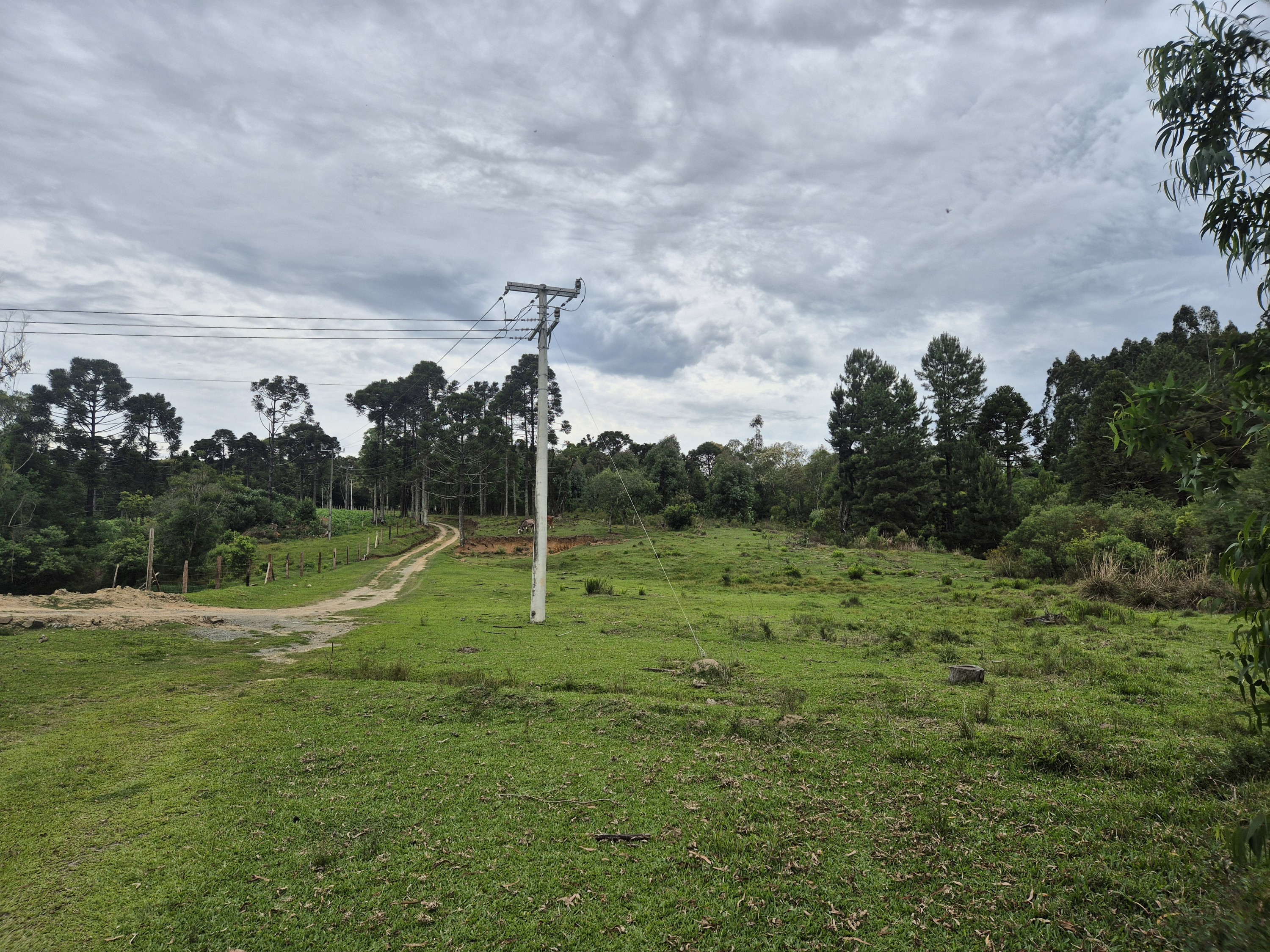 Imagem do A VENDA -Terreno Rural com 1 alqueire sendo 50% terra de planta e 50% Caíva