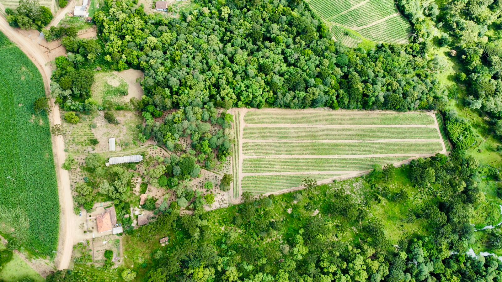 Imagem do A VENDA - Terreno Rural com 26.888,00 m2 em Erval Bonito - Canoinhas SC