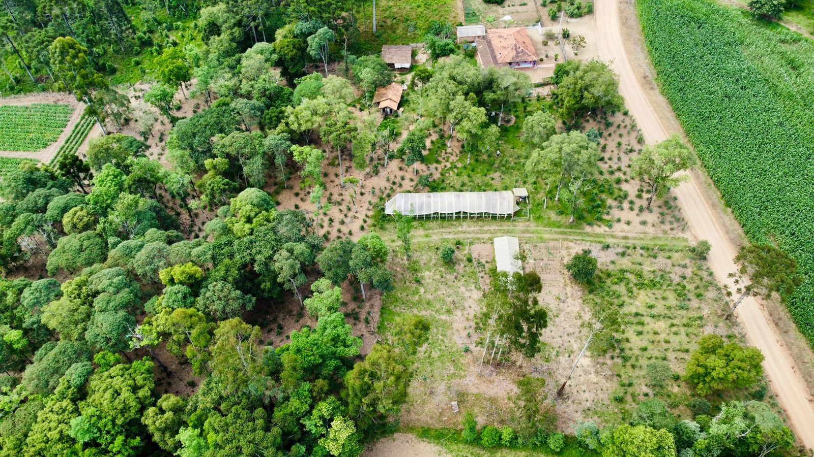 Imagem do A VENDA - Terreno Rural com 26.888,00 m2 em Erval Bonito - Canoinhas SC