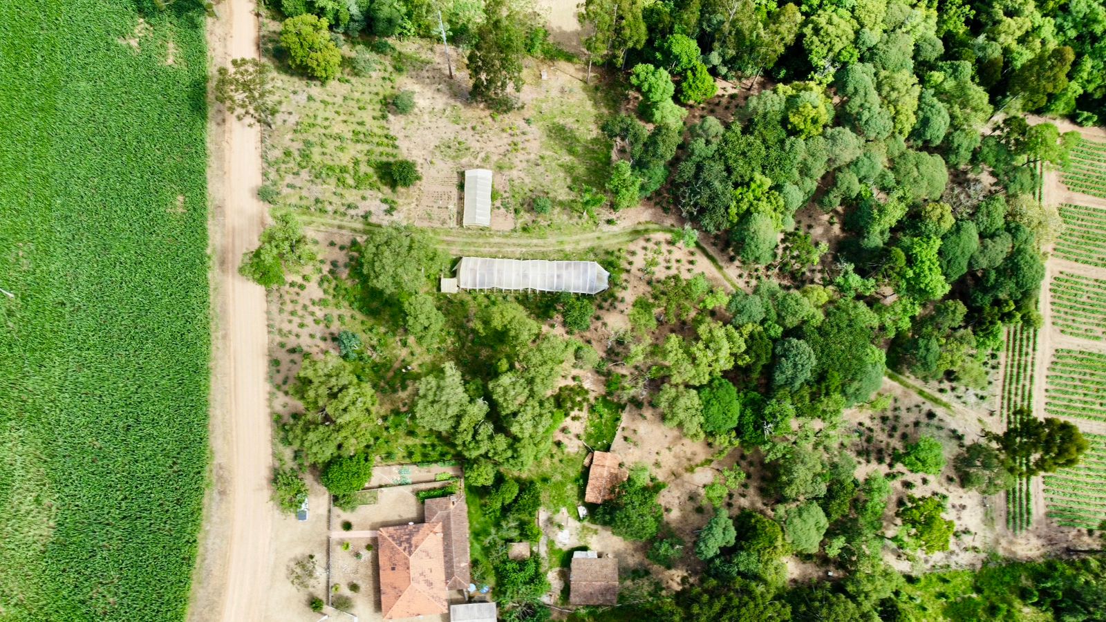 Imagem do A VENDA - Terreno Rural com 26.888,00 m2 em Erval Bonito - Canoinhas SC