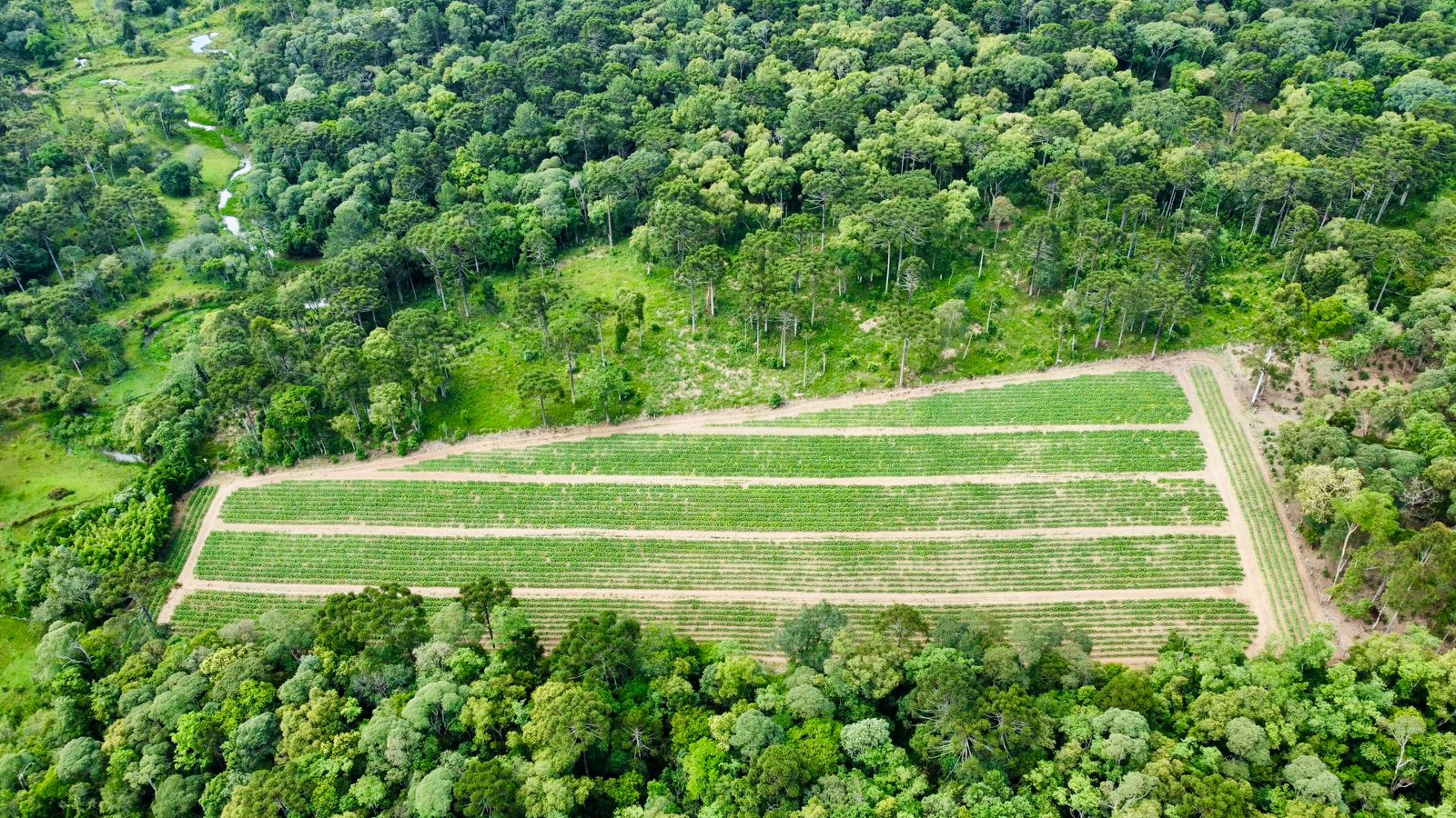 Imagem do A VENDA - Terreno Rural com 26.888,00 m2 em Erval Bonito - Canoinhas SC