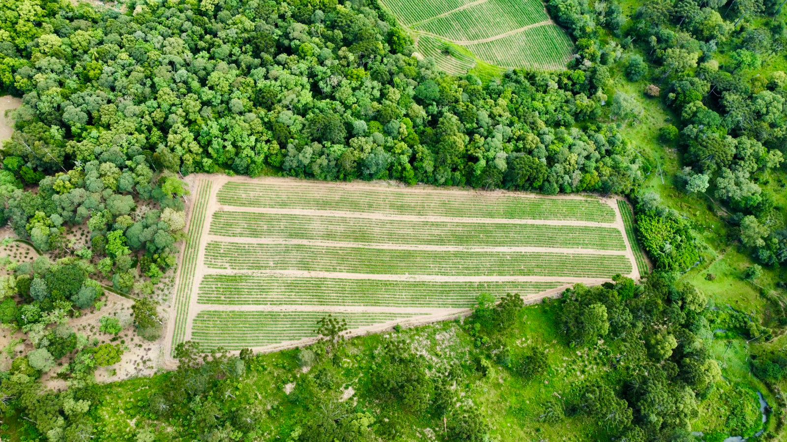 Imagem do A VENDA - Terreno Rural com 26.888,00 m2 em Erval Bonito - Canoinhas SC
