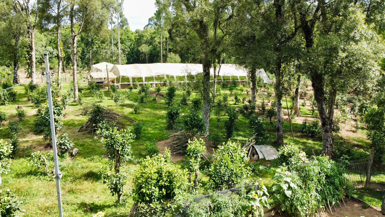 Imagem do A VENDA - Terreno Rural com 26.888,00 m2 em Erval Bonito - Canoinhas SC