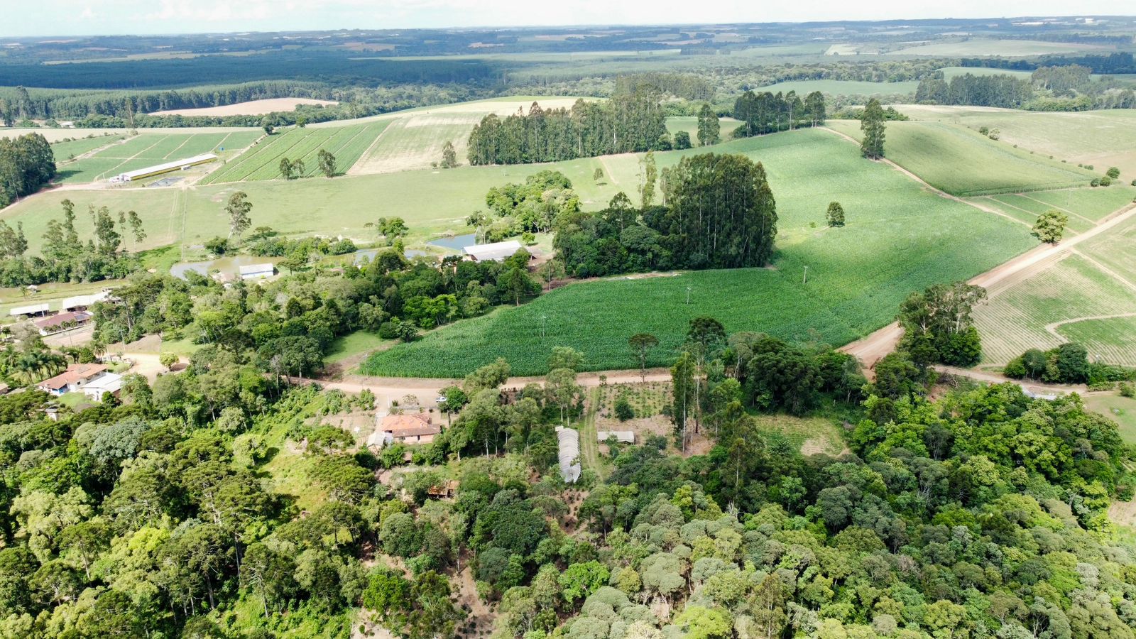 Imagem do A VENDA - Terreno Rural com 26.888,00 m2 em Erval Bonito - Canoinhas SC