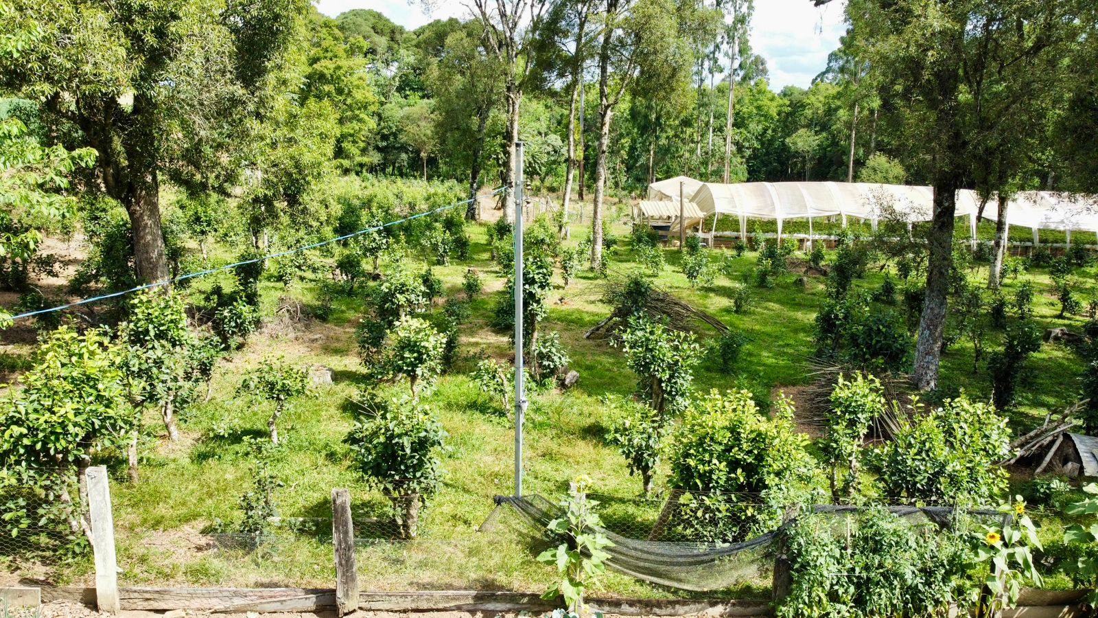 Imagem do A VENDA - Terreno Rural com 26.888,00 m2 em Erval Bonito - Canoinhas SC