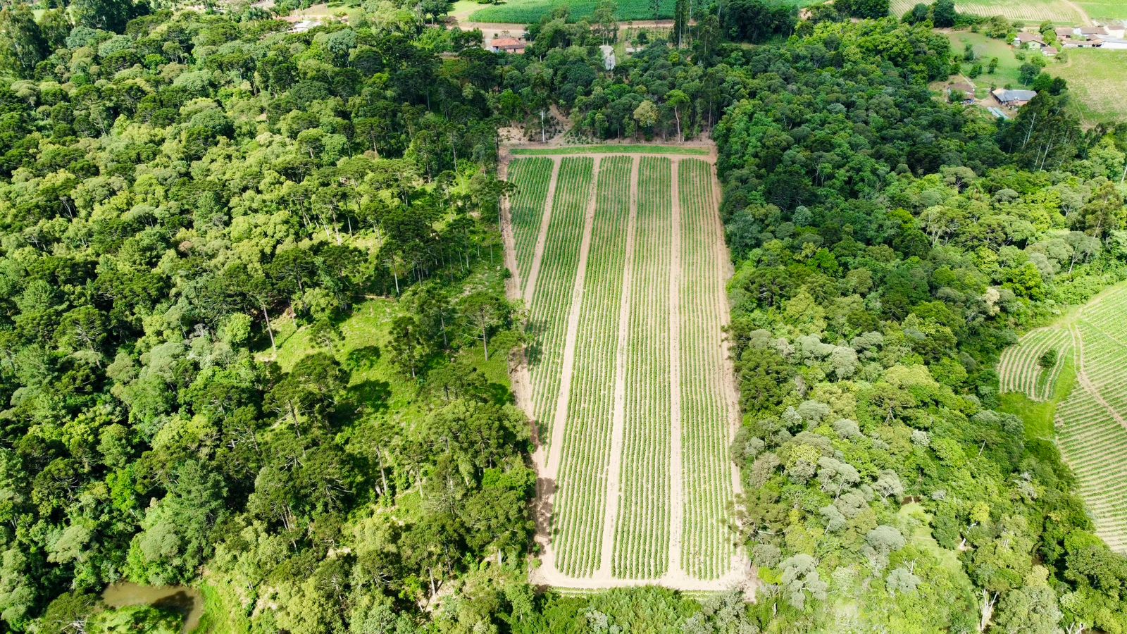 Imagem do A VENDA - Terreno Rural com 26.888,00 m2 em Erval Bonito - Canoinhas SC