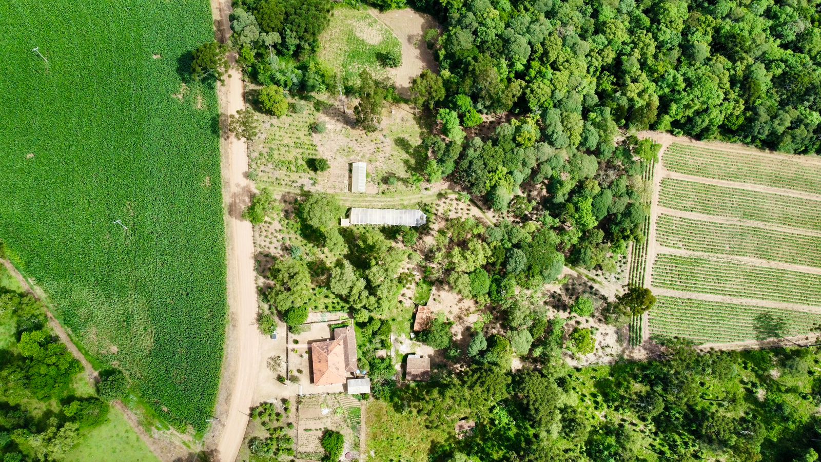 Imagem do A VENDA - Terreno Rural com 26.888,00 m2 em Erval Bonito - Canoinhas SC