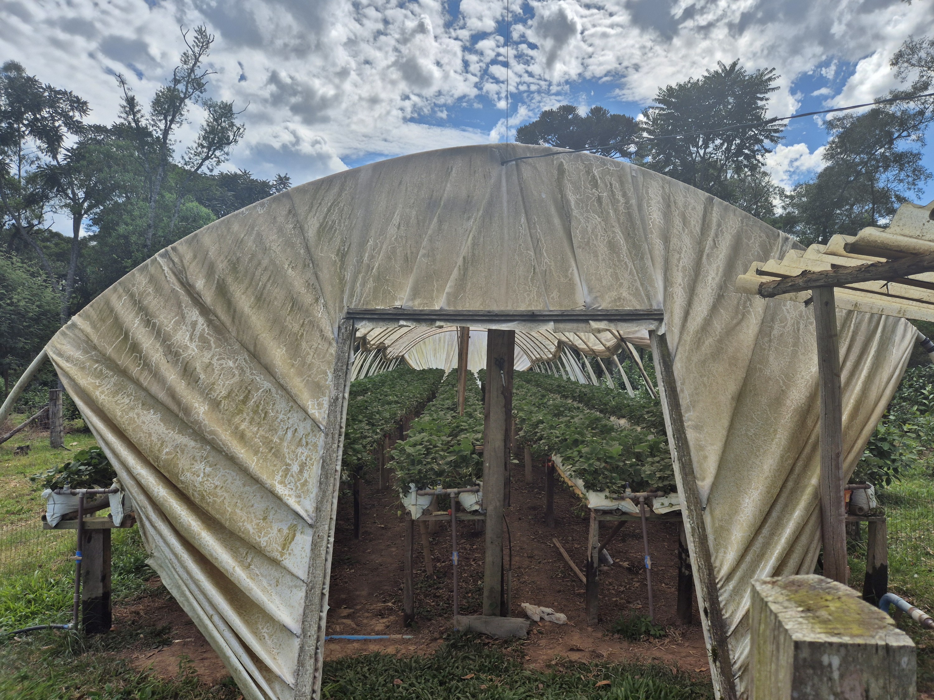 Imagem do A VENDA - Terreno Rural com 26.888,00 m2 em Erval Bonito - Canoinhas SC