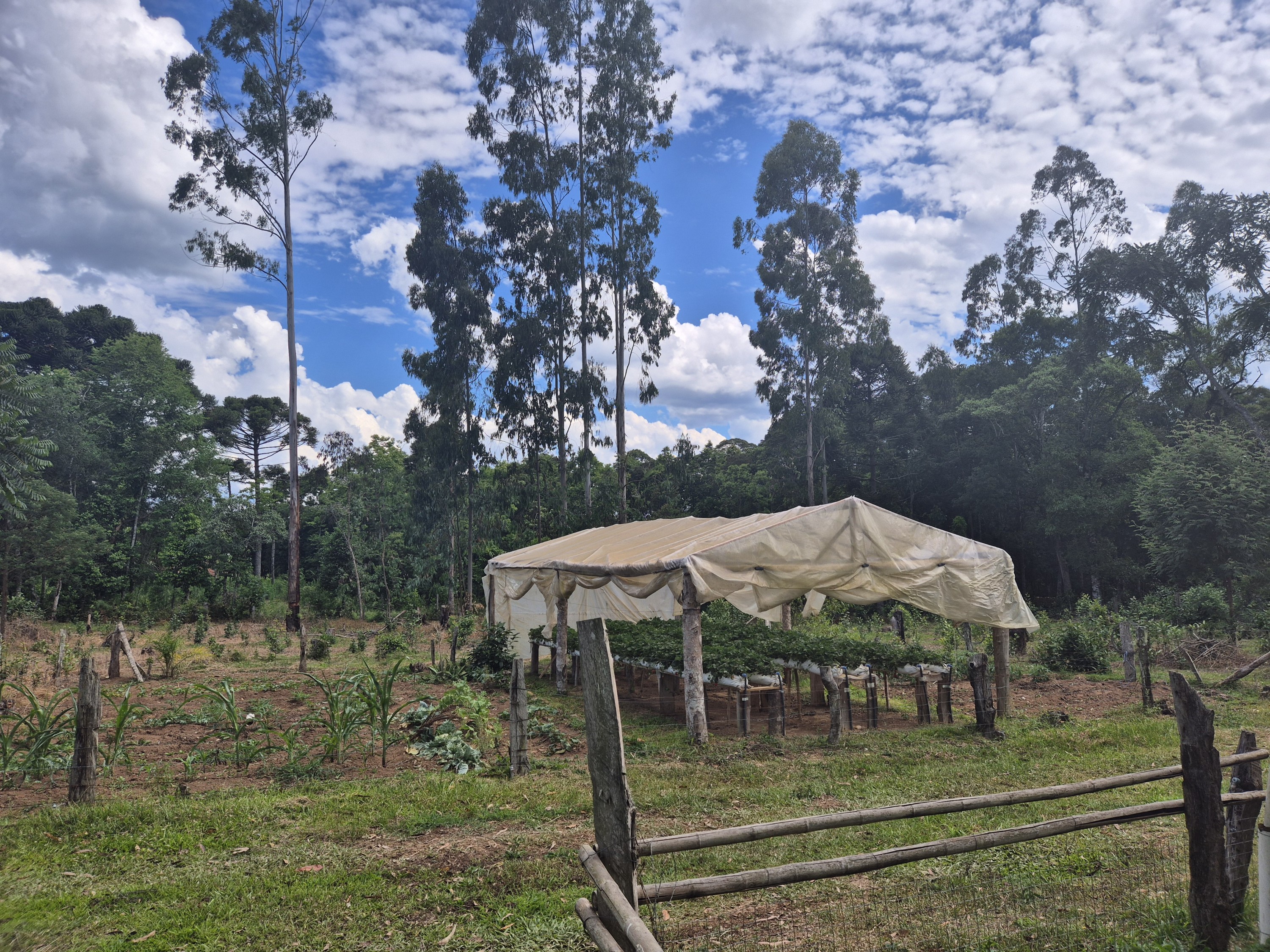 Imagem do A VENDA - Terreno Rural com 26.888,00 m2 em Erval Bonito - Canoinhas SC