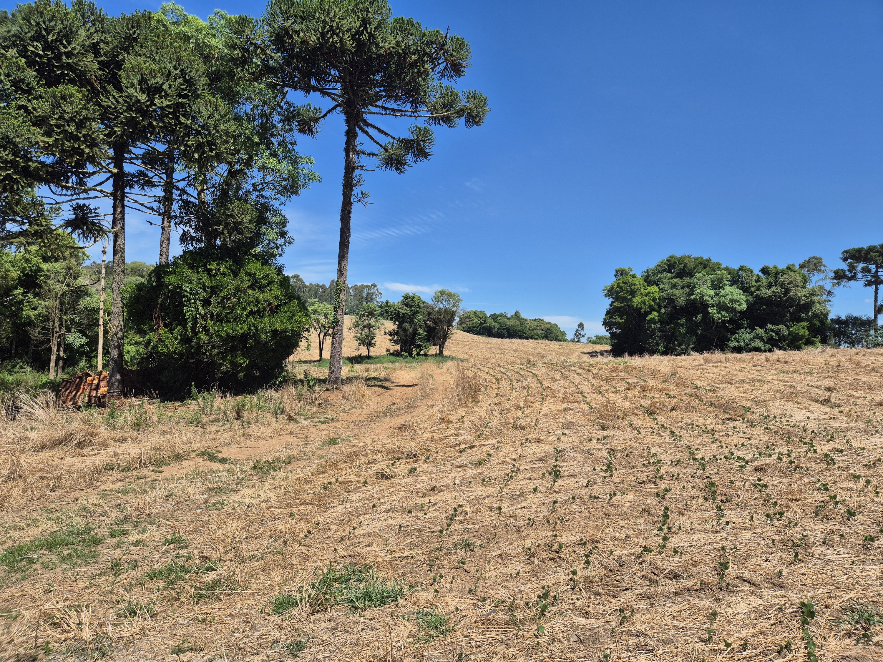 Imagem do Terreno Rural com 20.7 alqueires no Tira Fogo municipio Bela Vista do Toldo