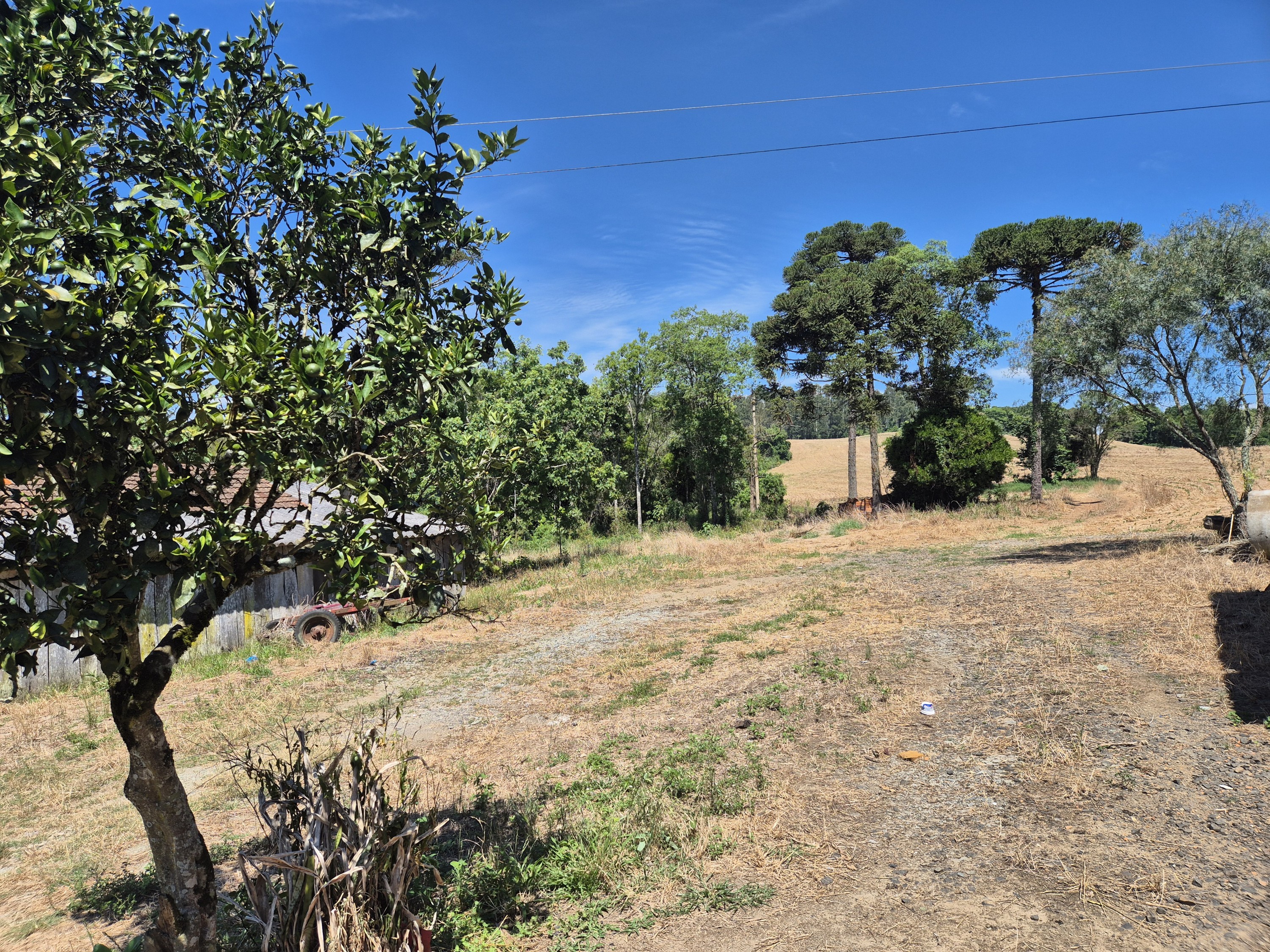 Imagem do Terreno Rural com 20.7 alqueires no Tira Fogo municipio Bela Vista do Toldo
