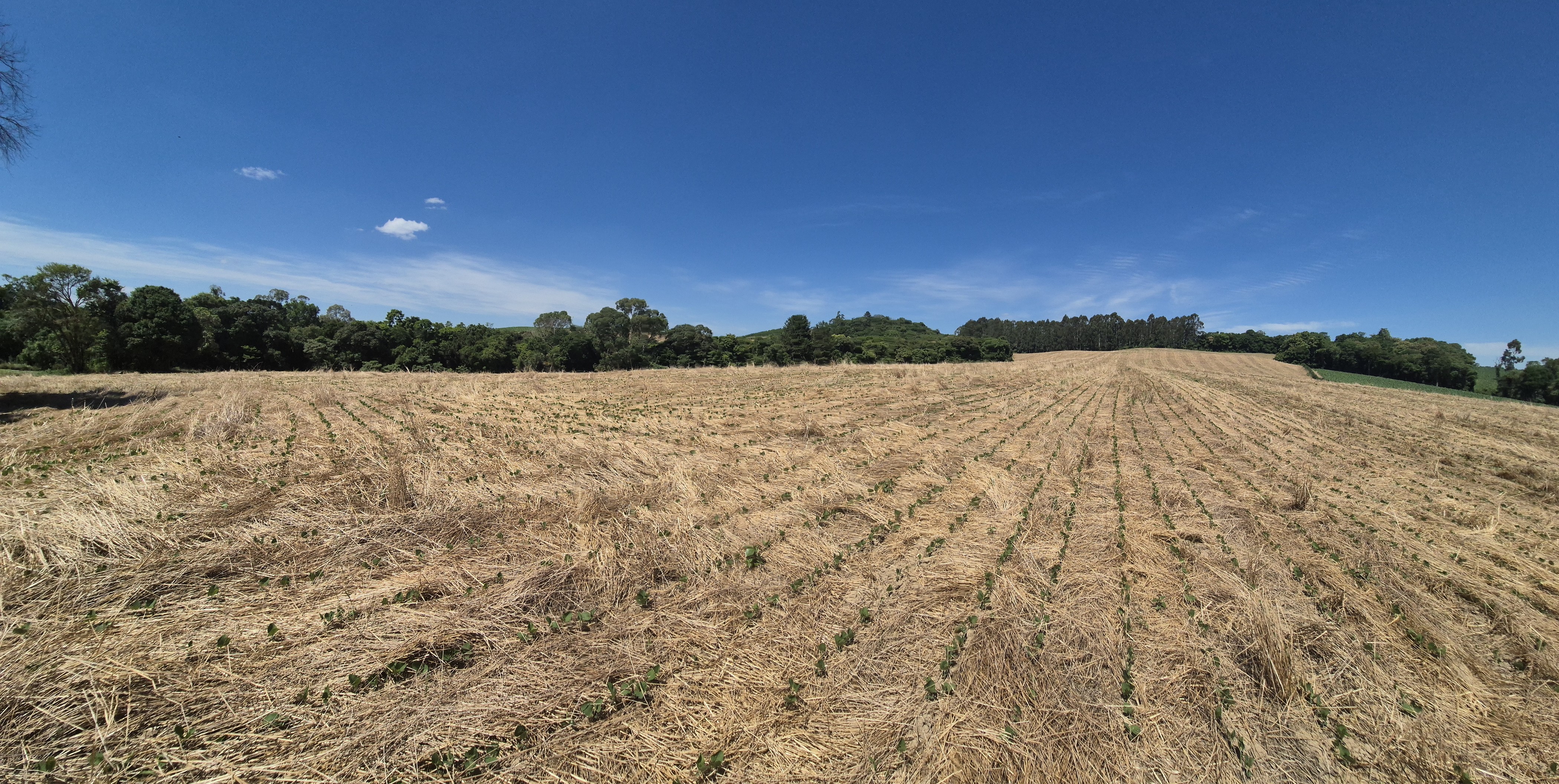Imagem do Terreno Rural com 20.7 alqueires no Tira Fogo municipio Bela Vista do Toldo