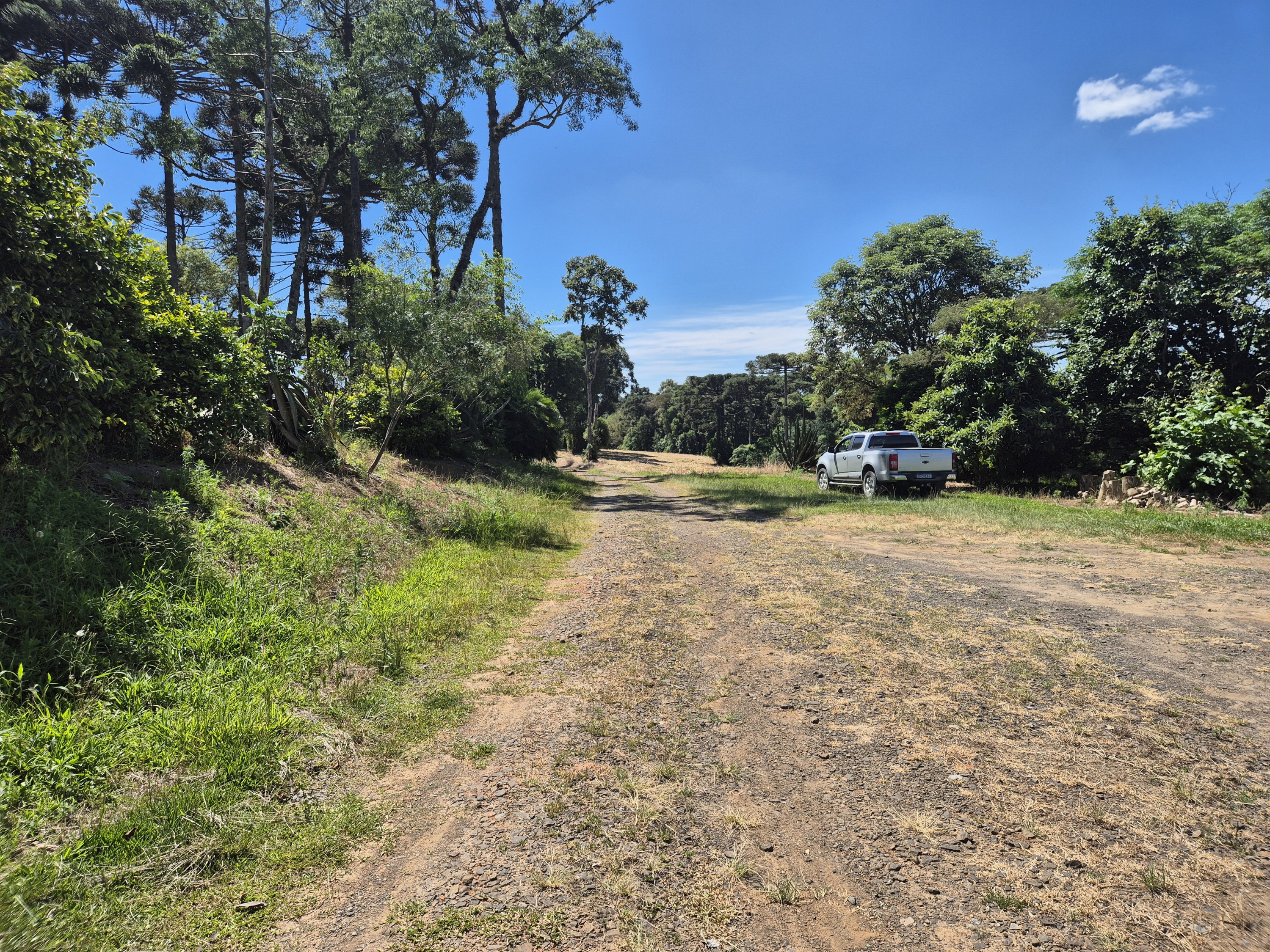 Imagem do Terreno Rural com 20.7 alqueires no Tira Fogo municipio Bela Vista do Toldo