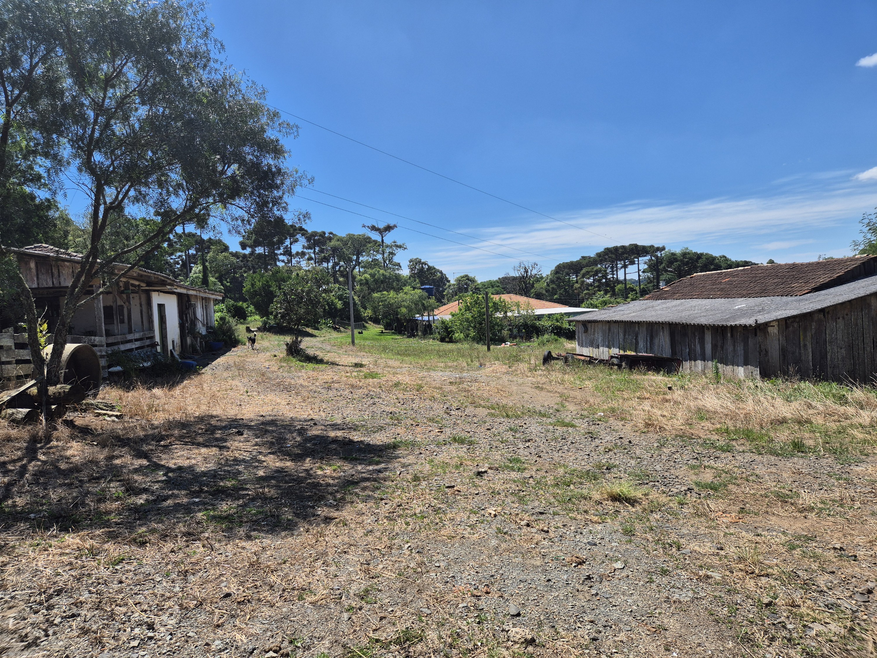 Imagem do Terreno Rural com 20.7 alqueires no Tira Fogo municipio Bela Vista do Toldo