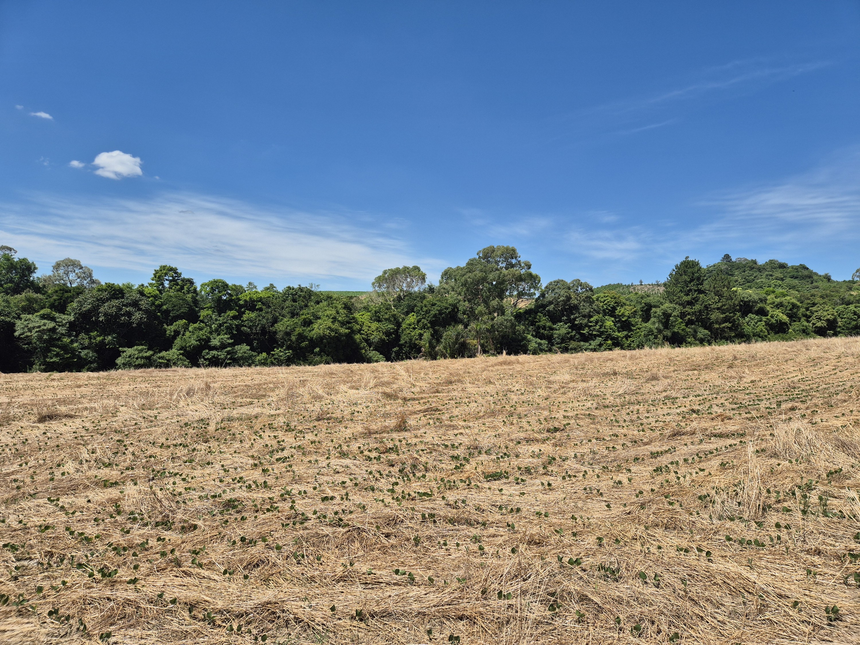 Imagem do Terreno Rural com 20.7 alqueires no Tira Fogo municipio Bela Vista do Toldo