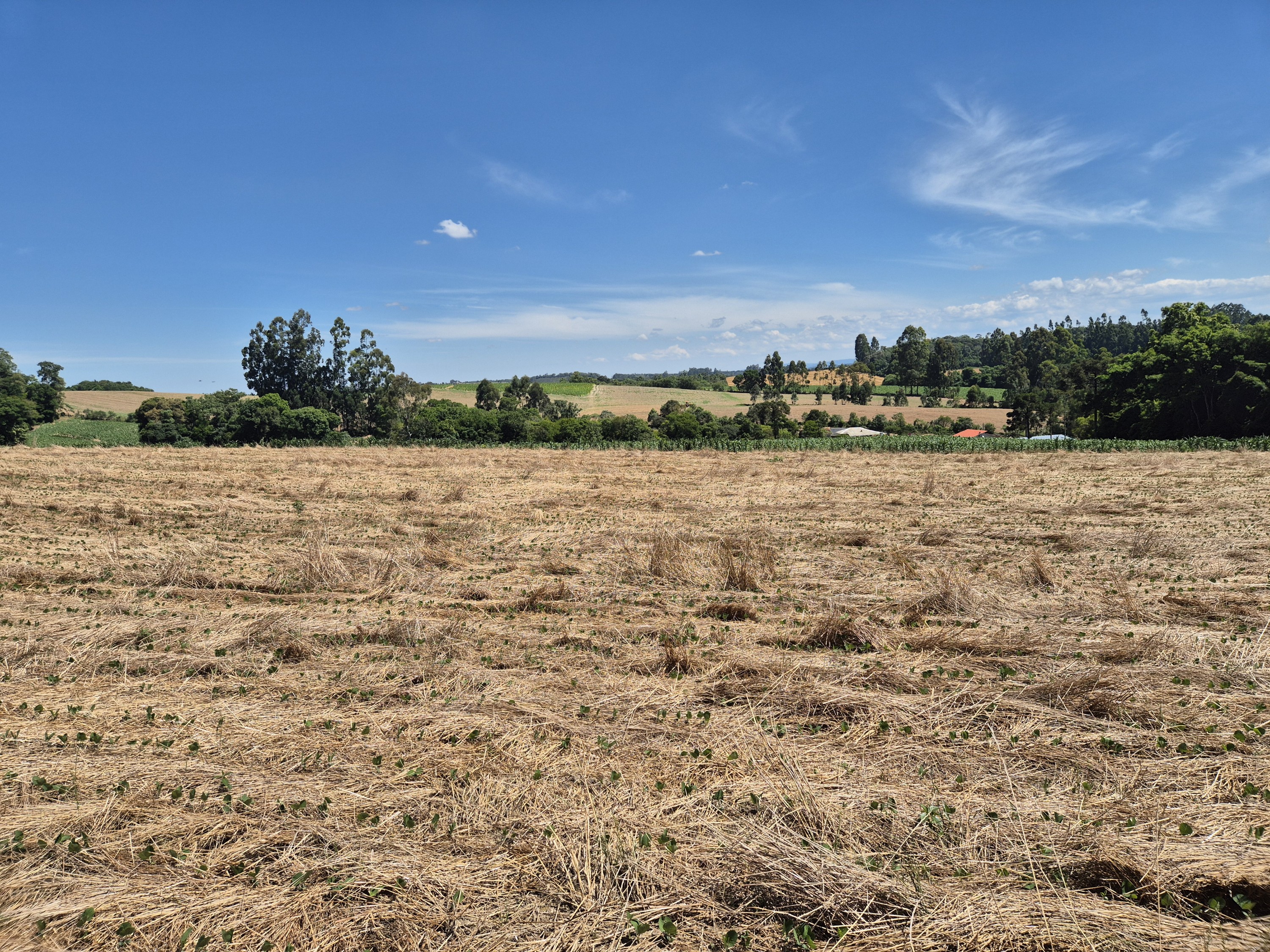 Imagem do Terreno Rural com 20.7 alqueires no Tira Fogo municipio Bela Vista do Toldo