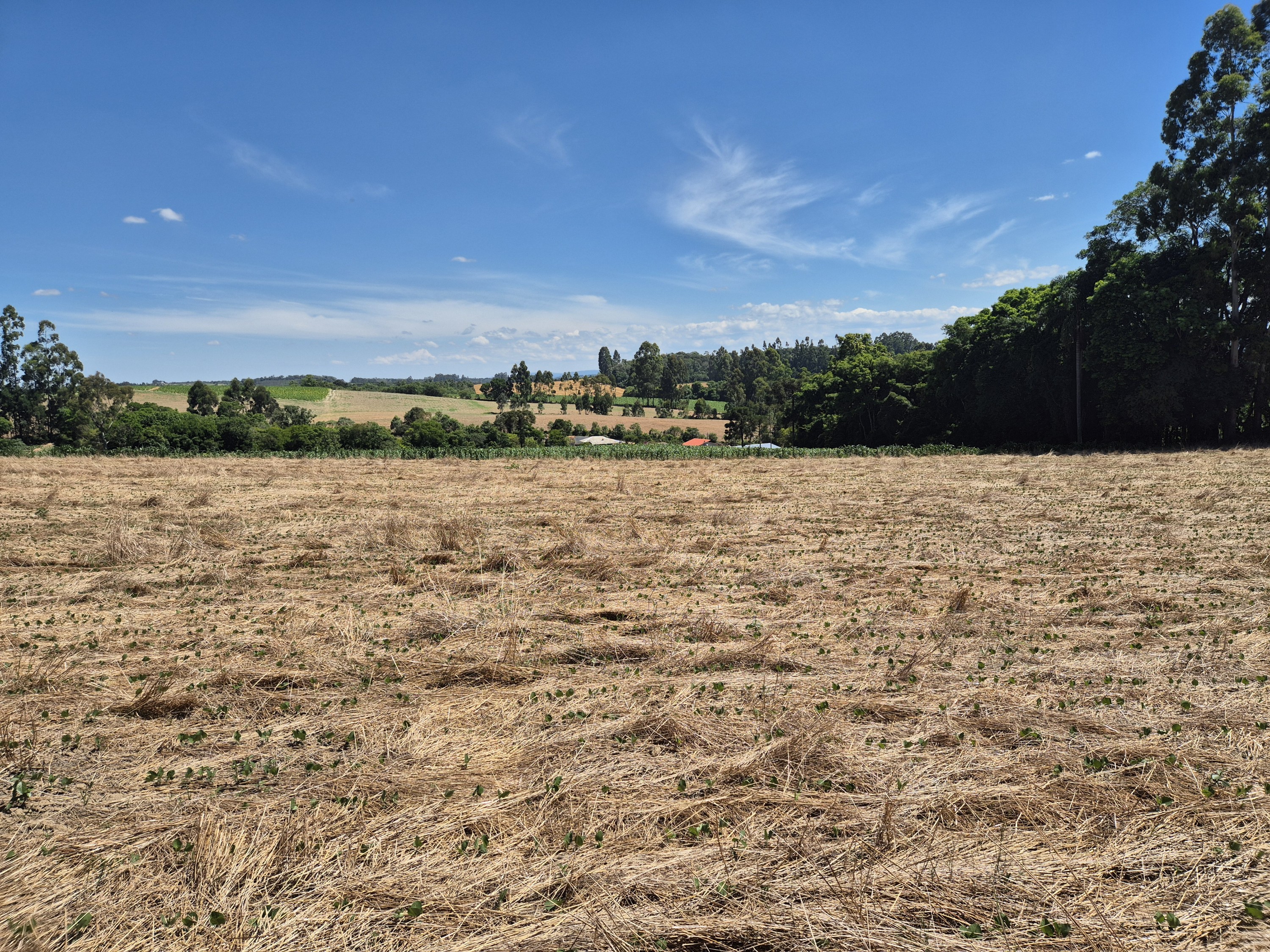 Imagem do Terreno Rural com 20.7 alqueires no Tira Fogo municipio Bela Vista do Toldo