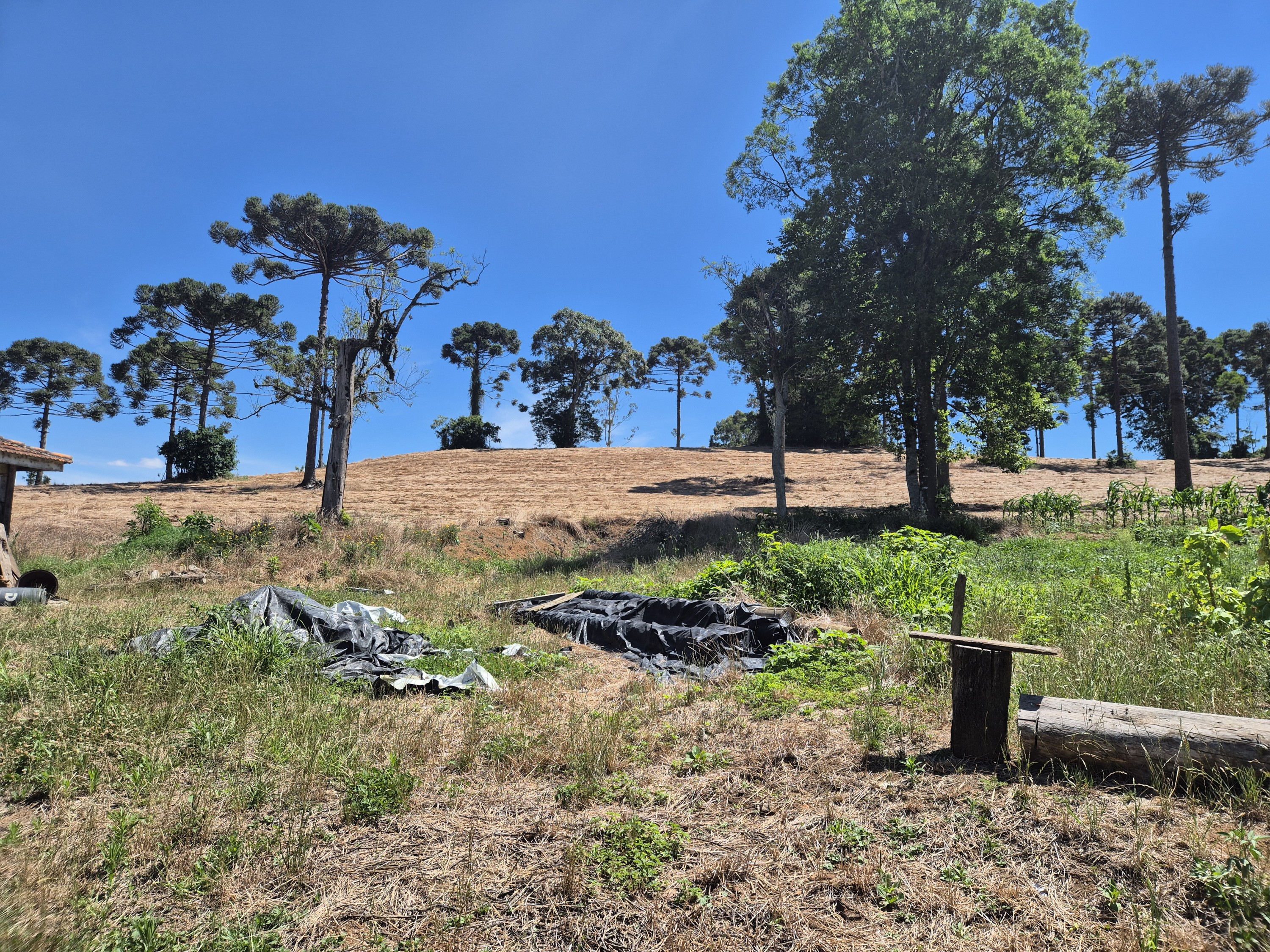Imagem do Terreno Rural com 20.7 alqueires no Tira Fogo municipio Bela Vista do Toldo