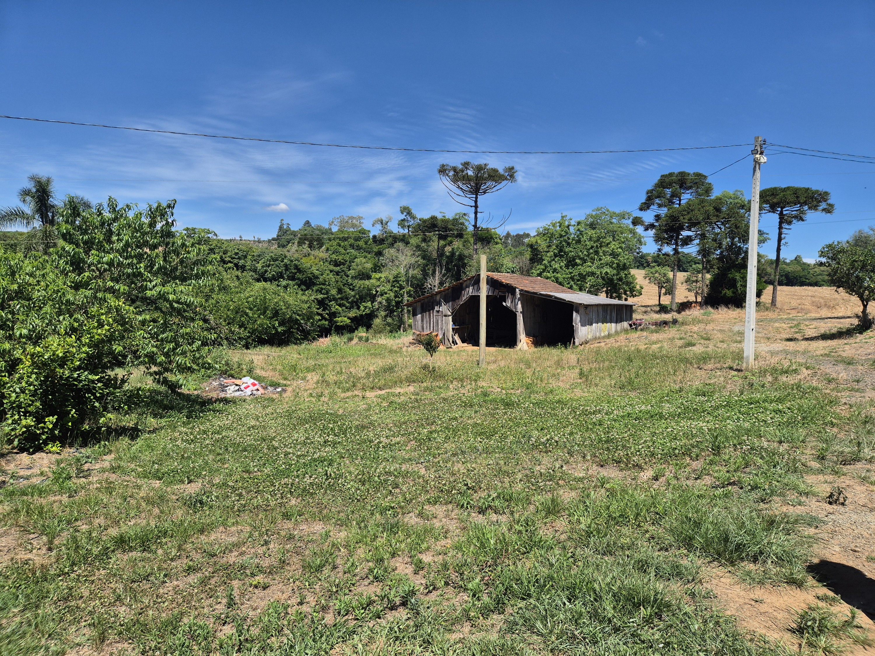 Imagem do Terreno Rural com 20.7 alqueires no Tira Fogo municipio Bela Vista do Toldo