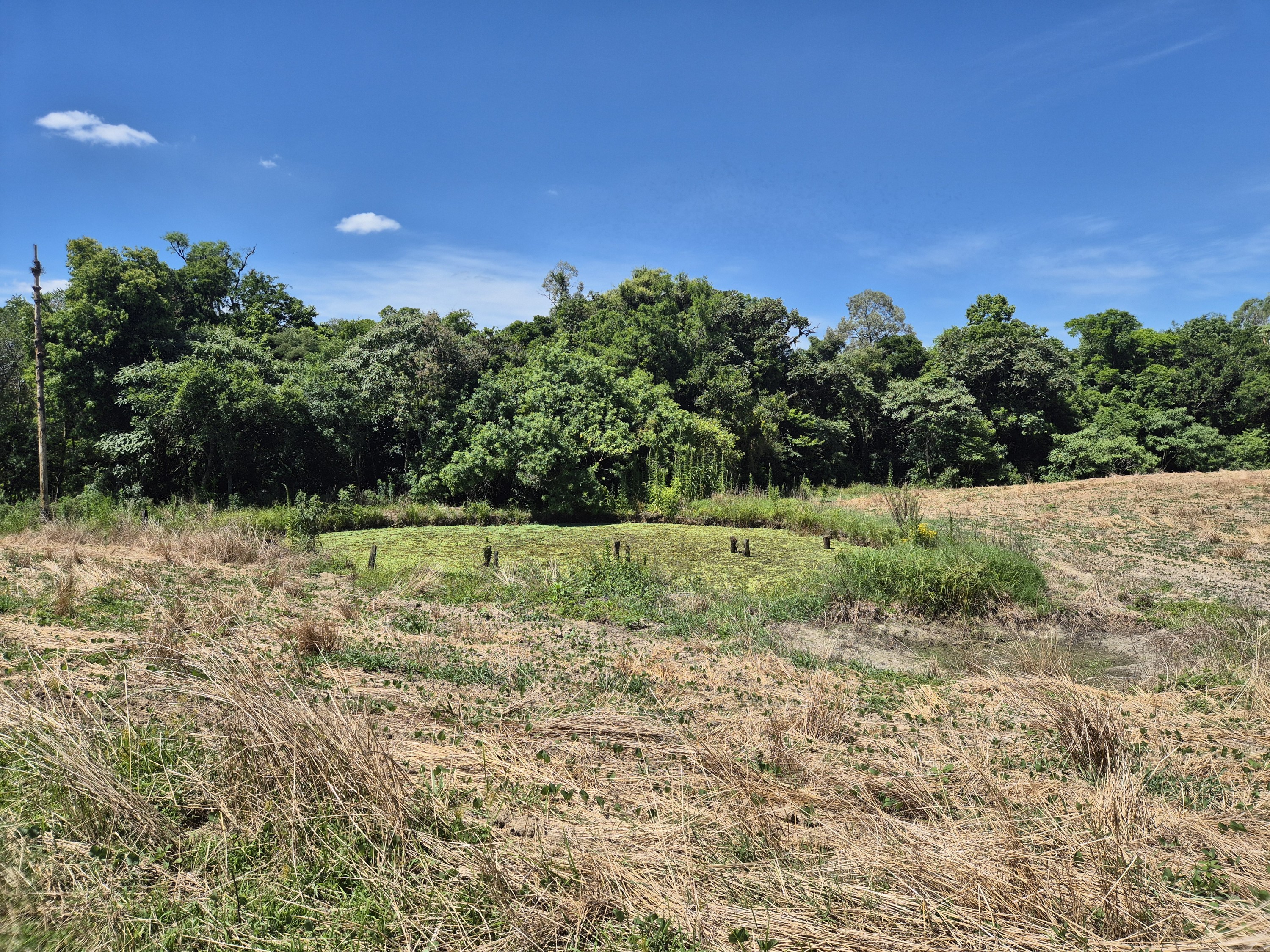 Imagem do Terreno Rural com 20.7 alqueires no Tira Fogo municipio Bela Vista do Toldo