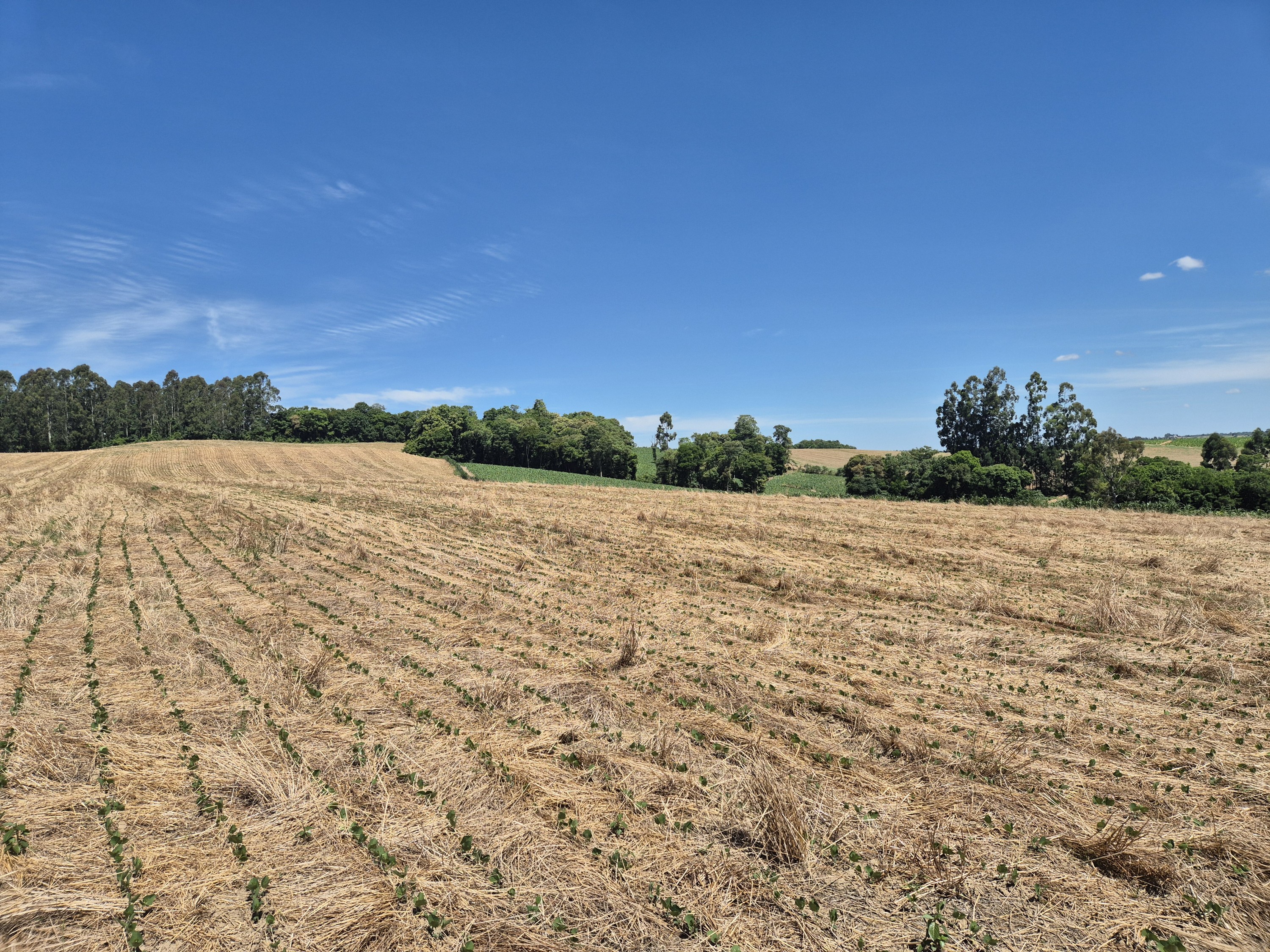 Imagem do Terreno Rural com 20.7 alqueires no Tira Fogo municipio Bela Vista do Toldo