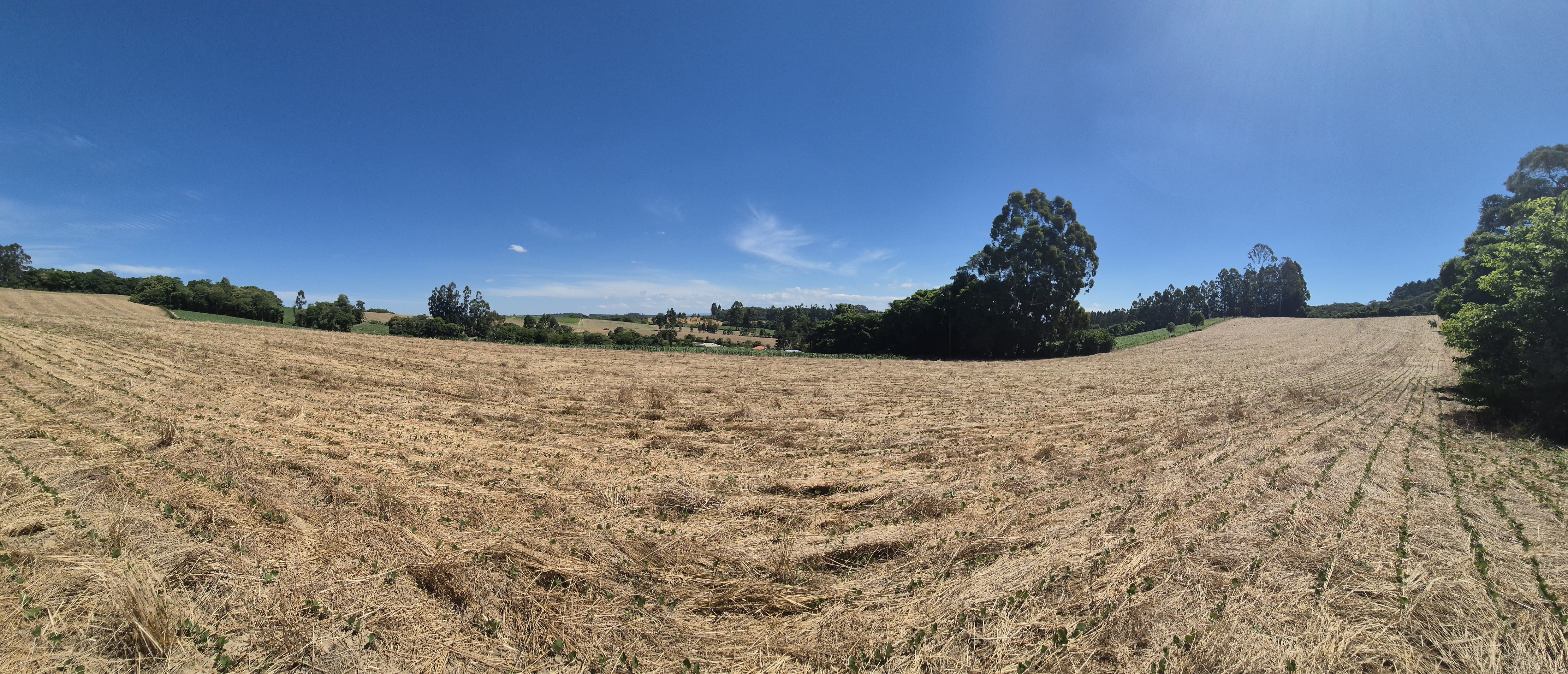 Imagem do Terreno Rural com 20.7 alqueires no Tira Fogo municipio Bela Vista do Toldo