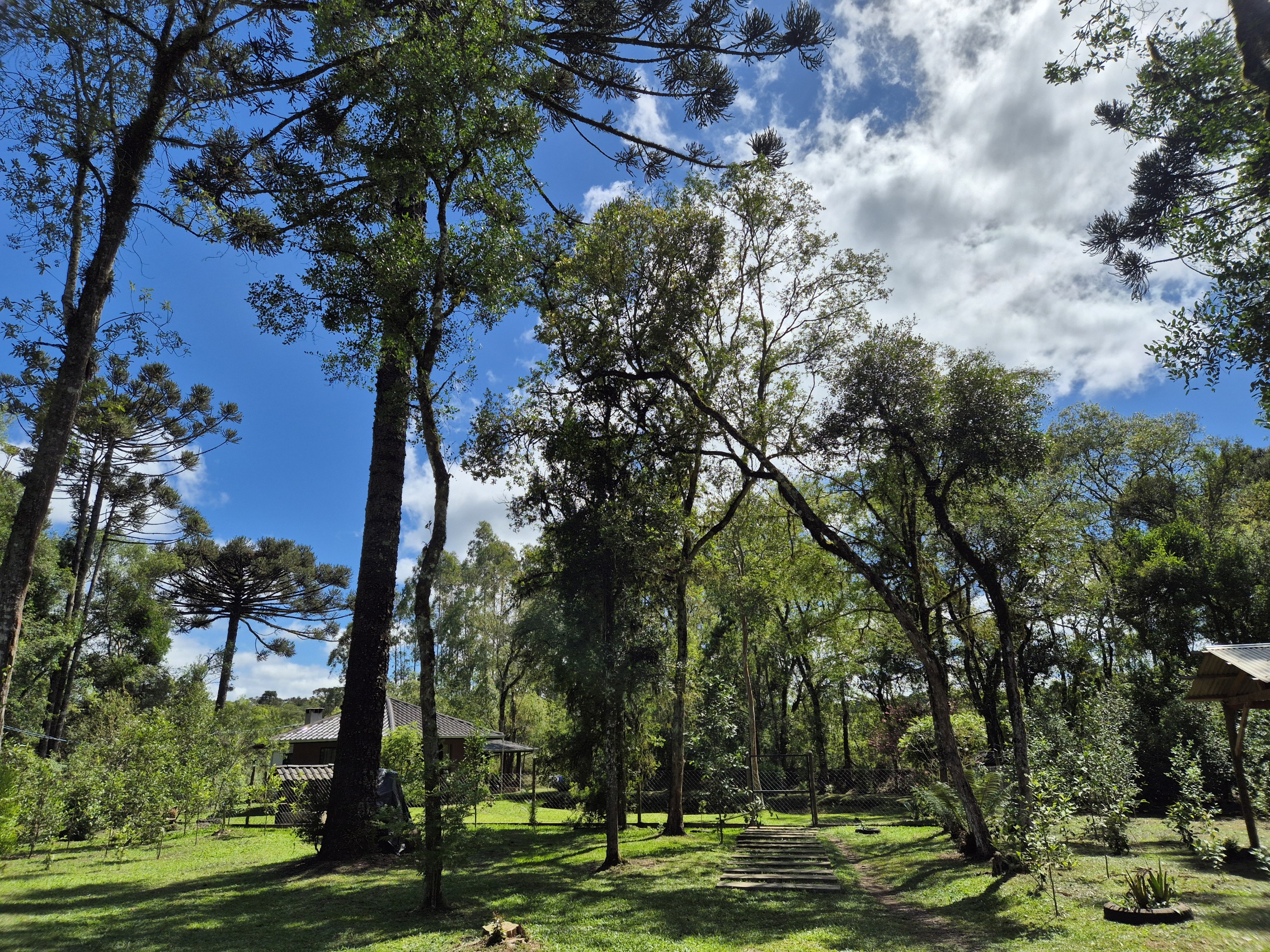 Imagem do A VENDA -ACEITA TROCA POR CASA EM CANOINHAS - 4.400 M2 - CASA 115 M2 ALVENARIA