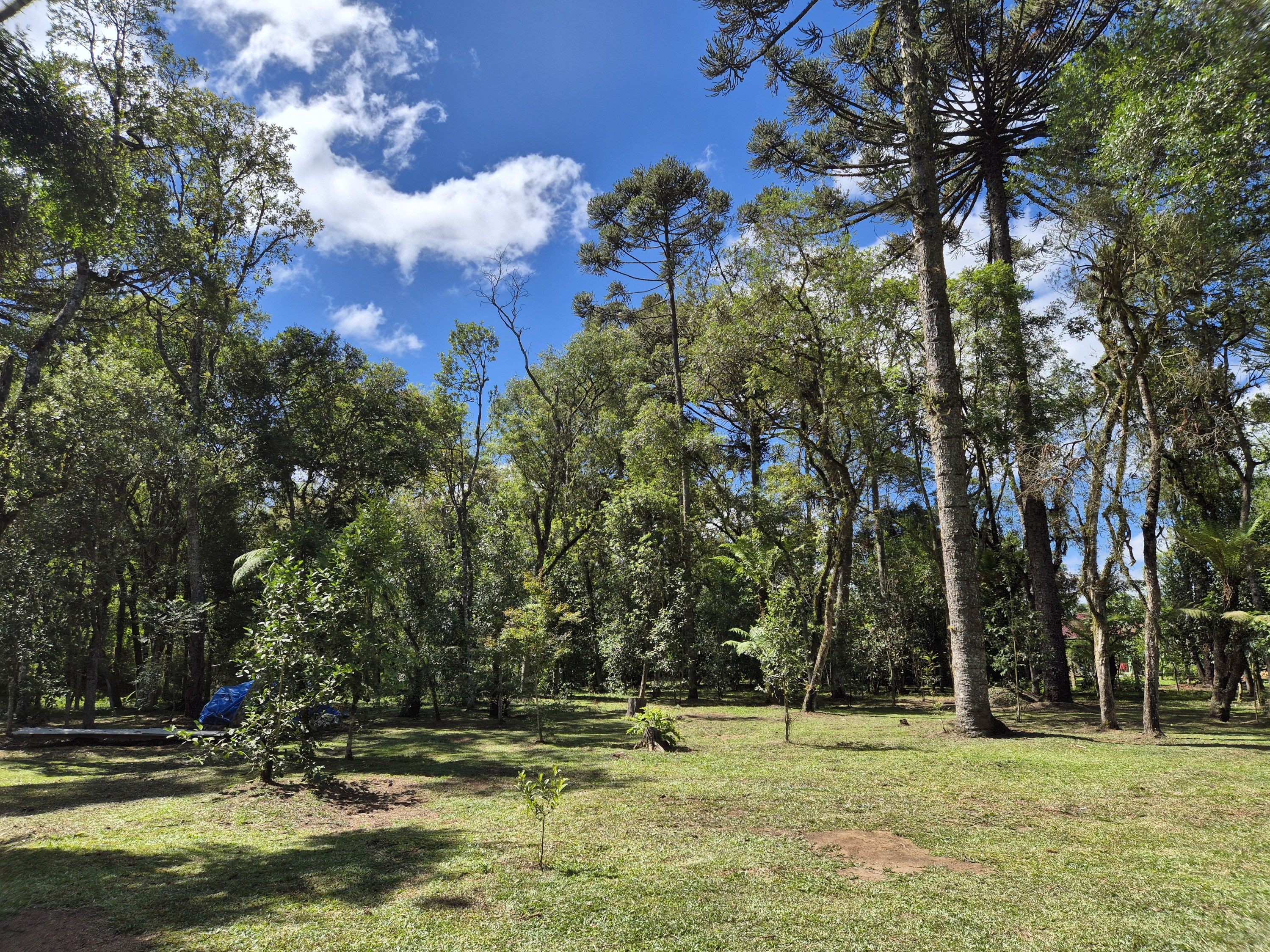 Imagem do A VENDA -ACEITA TROCA POR CASA EM CANOINHAS - 4.400 M2 - CASA 115 M2 ALVENARIA
