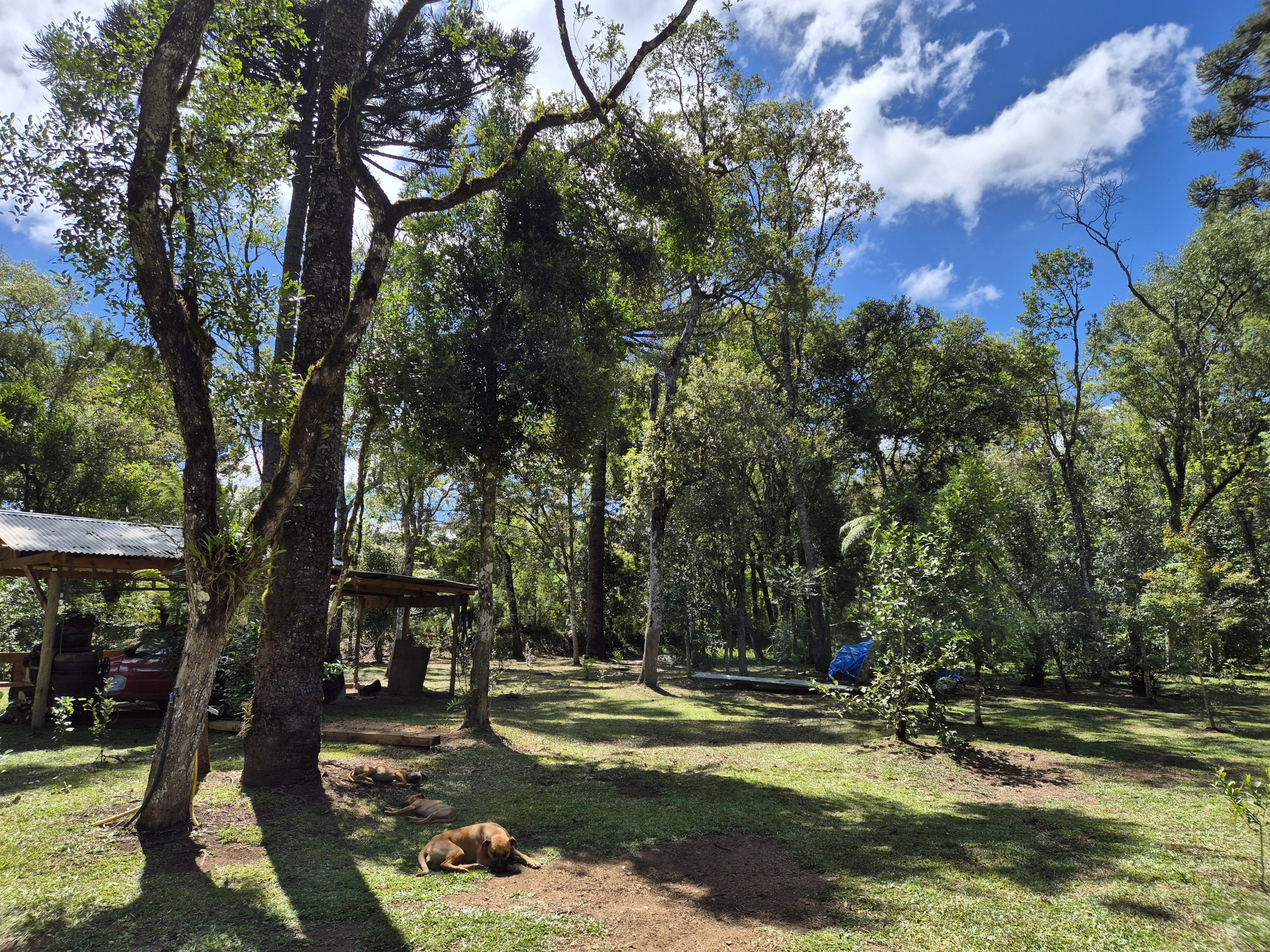 Imagem do A VENDA -ACEITA TROCA POR CASA EM CANOINHAS - 4.400 M2 - CASA 115 M2 ALVENARIA